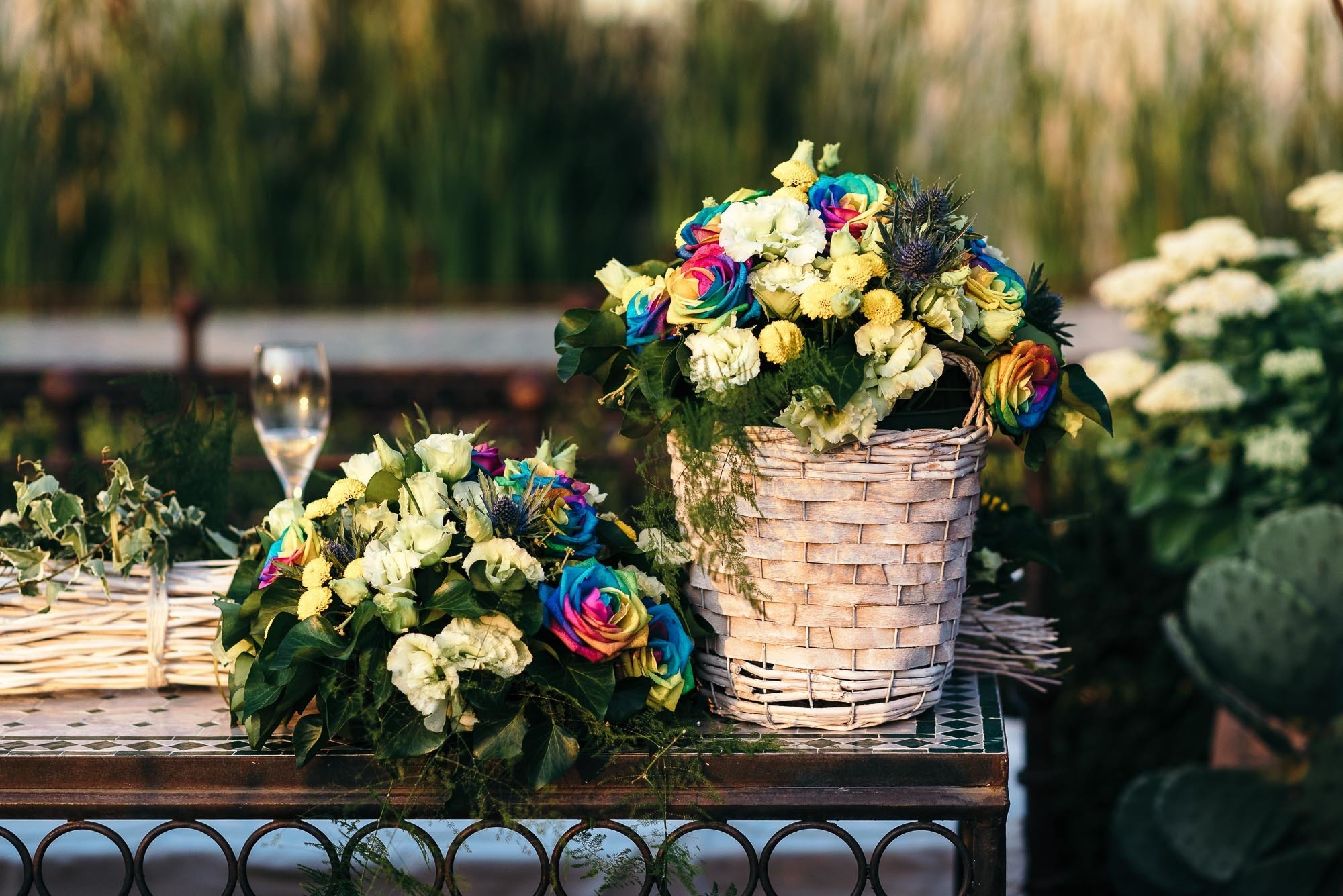 tenuta cipressi e olivi, Cavaion Veronese