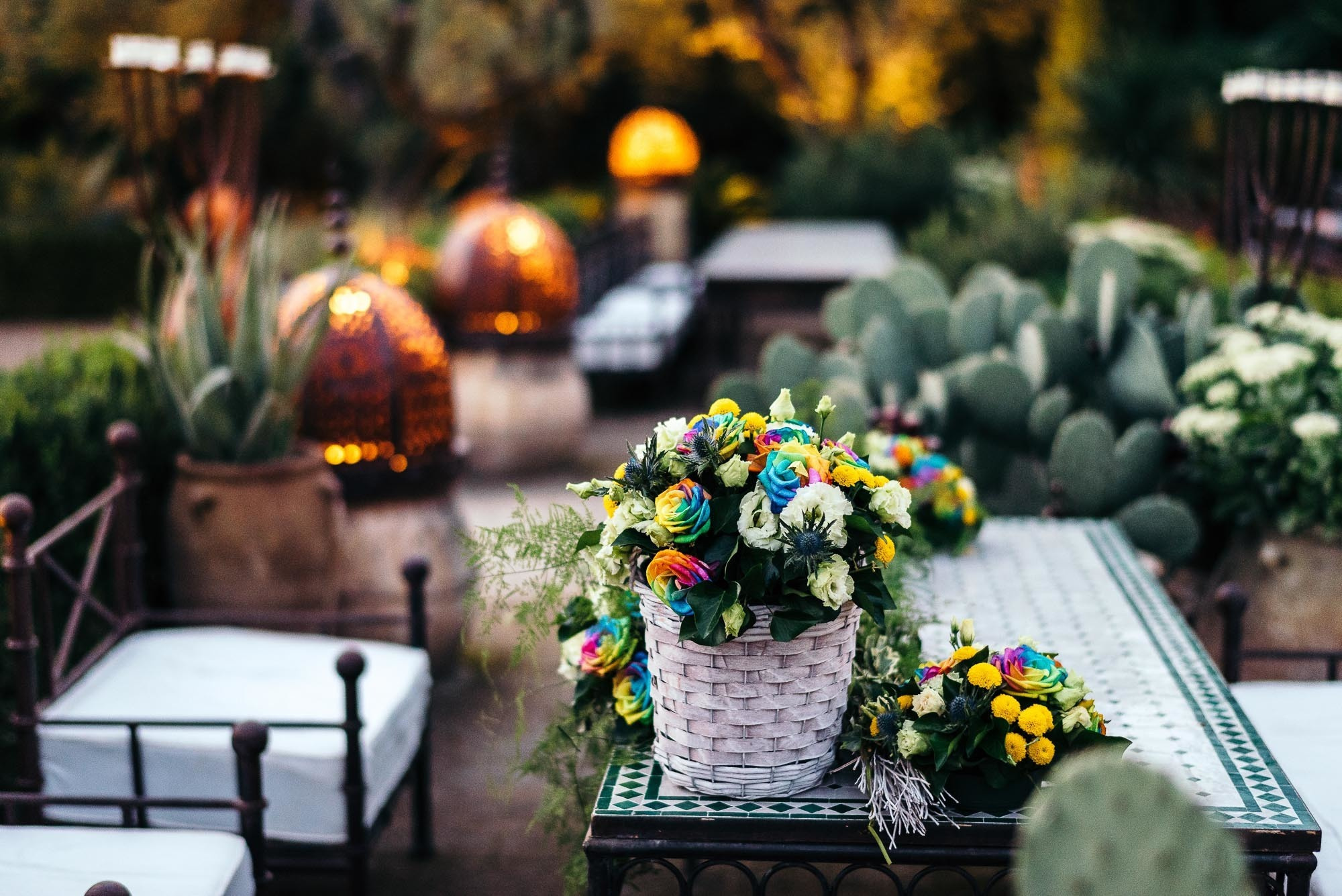 tenuta cipressi e olivi, Cavaion Veronese