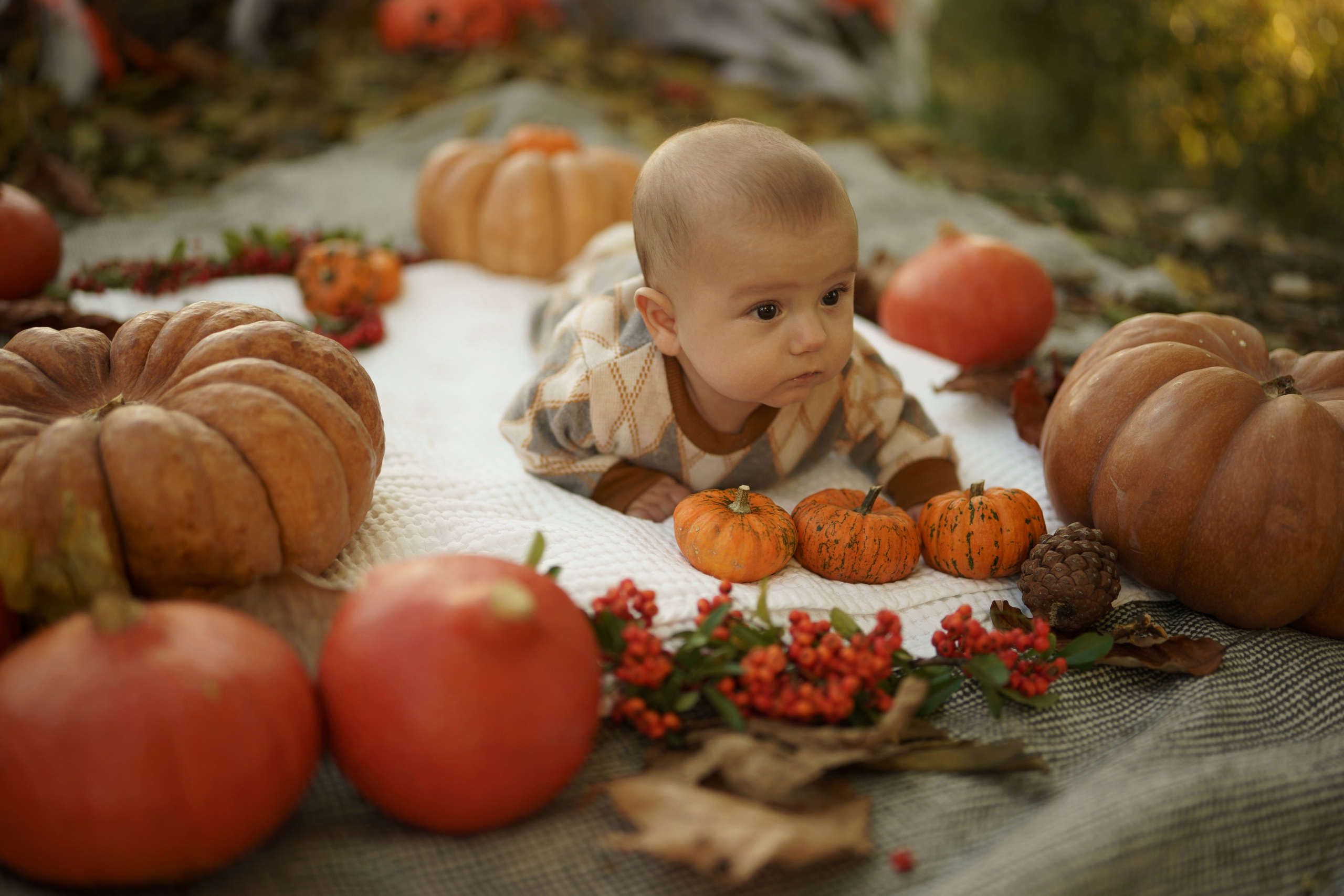 Automne. Photos by Vechkaeva