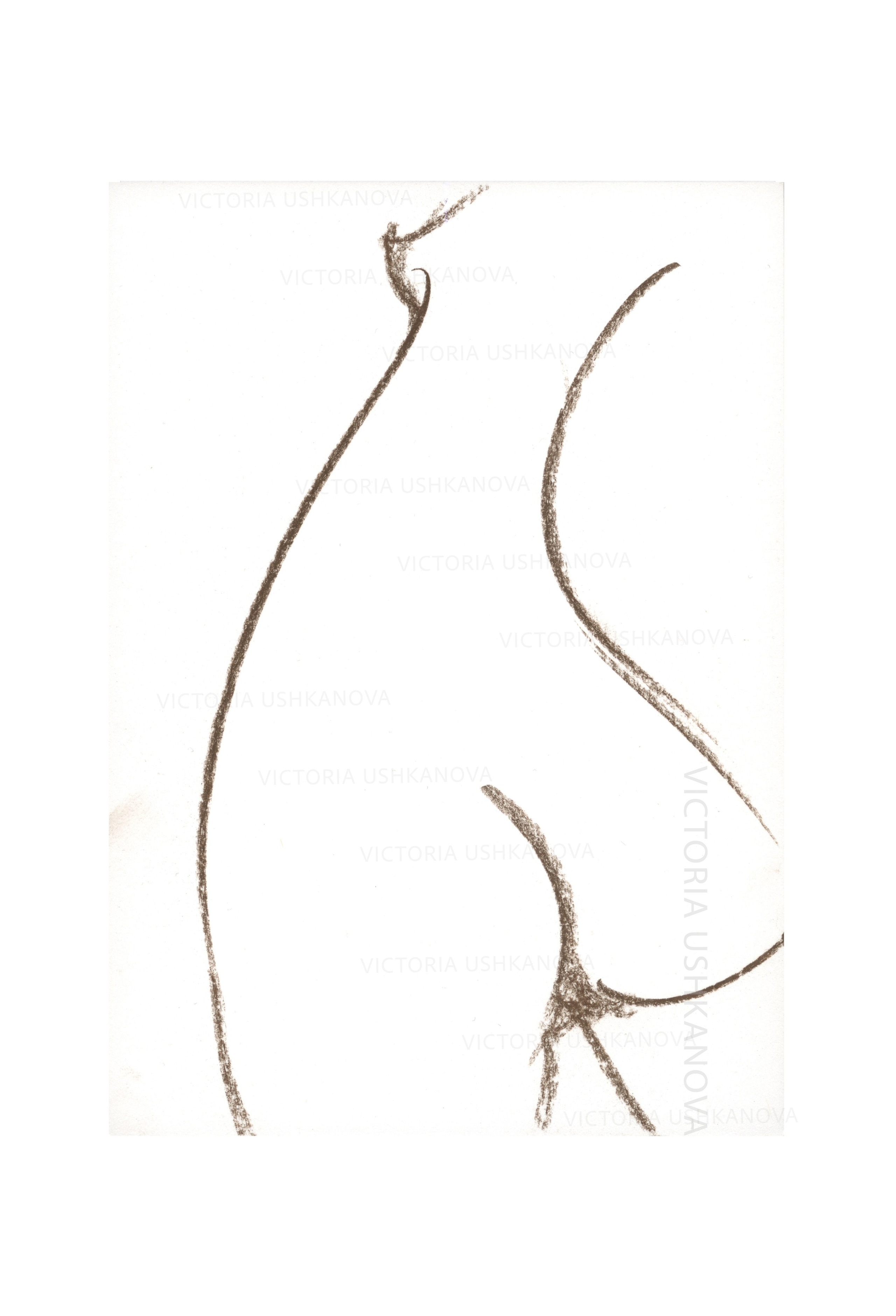 Drawings. Fotograaf Amsterdam - Victoria Ushkanova