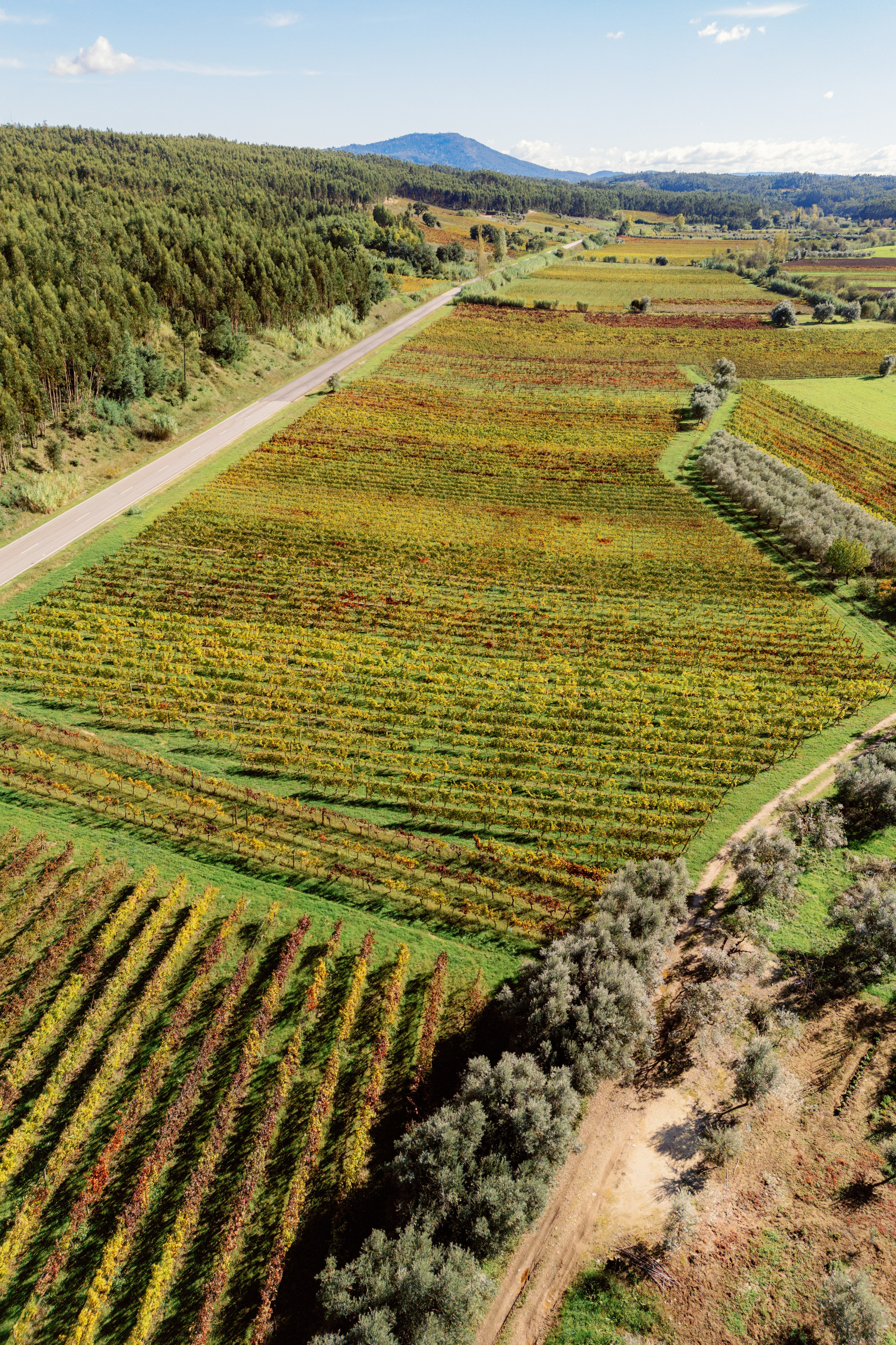 Гид по долине Дору и северу Португалии