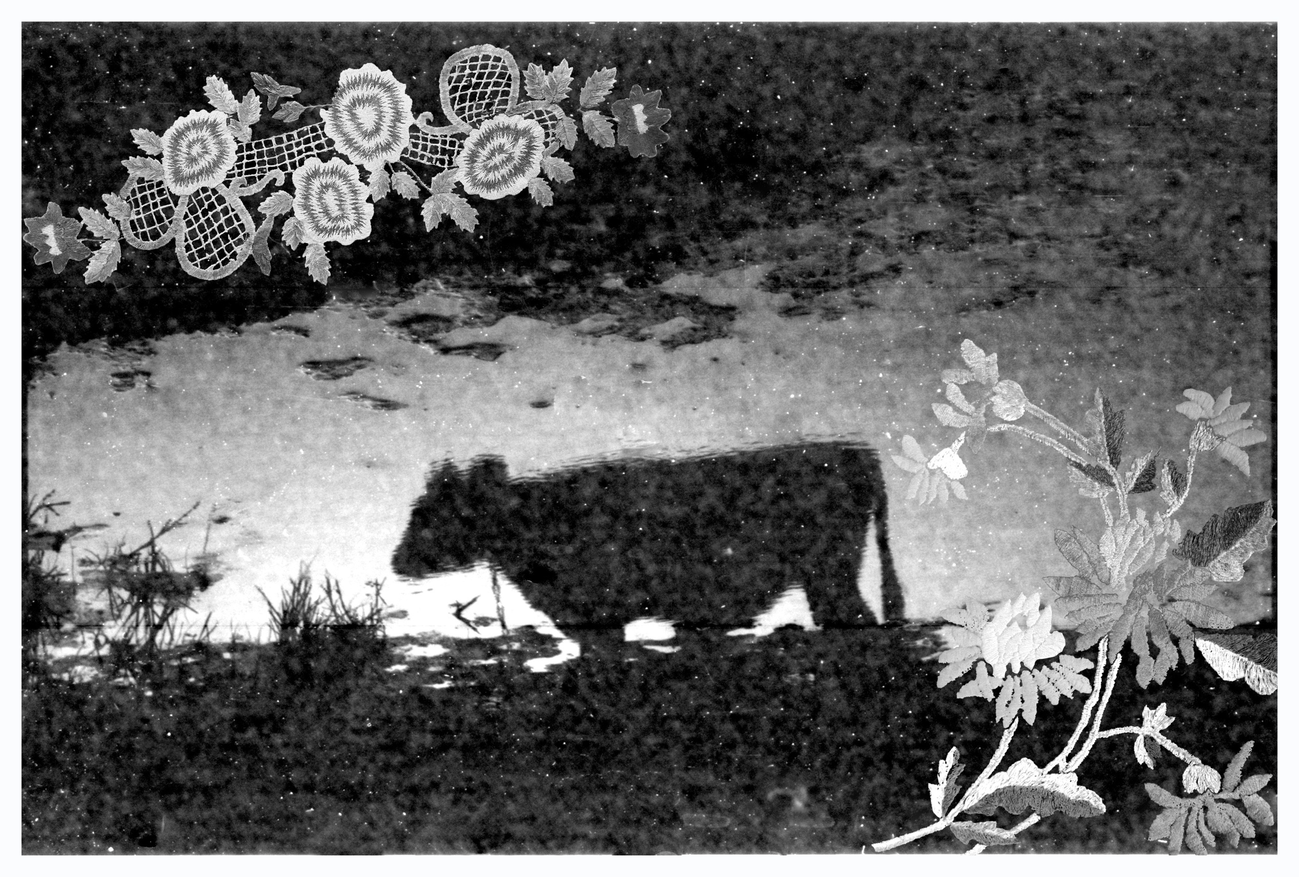 Patterns of the village of Gaidar. Natalia Parfenova visual artist film photographer