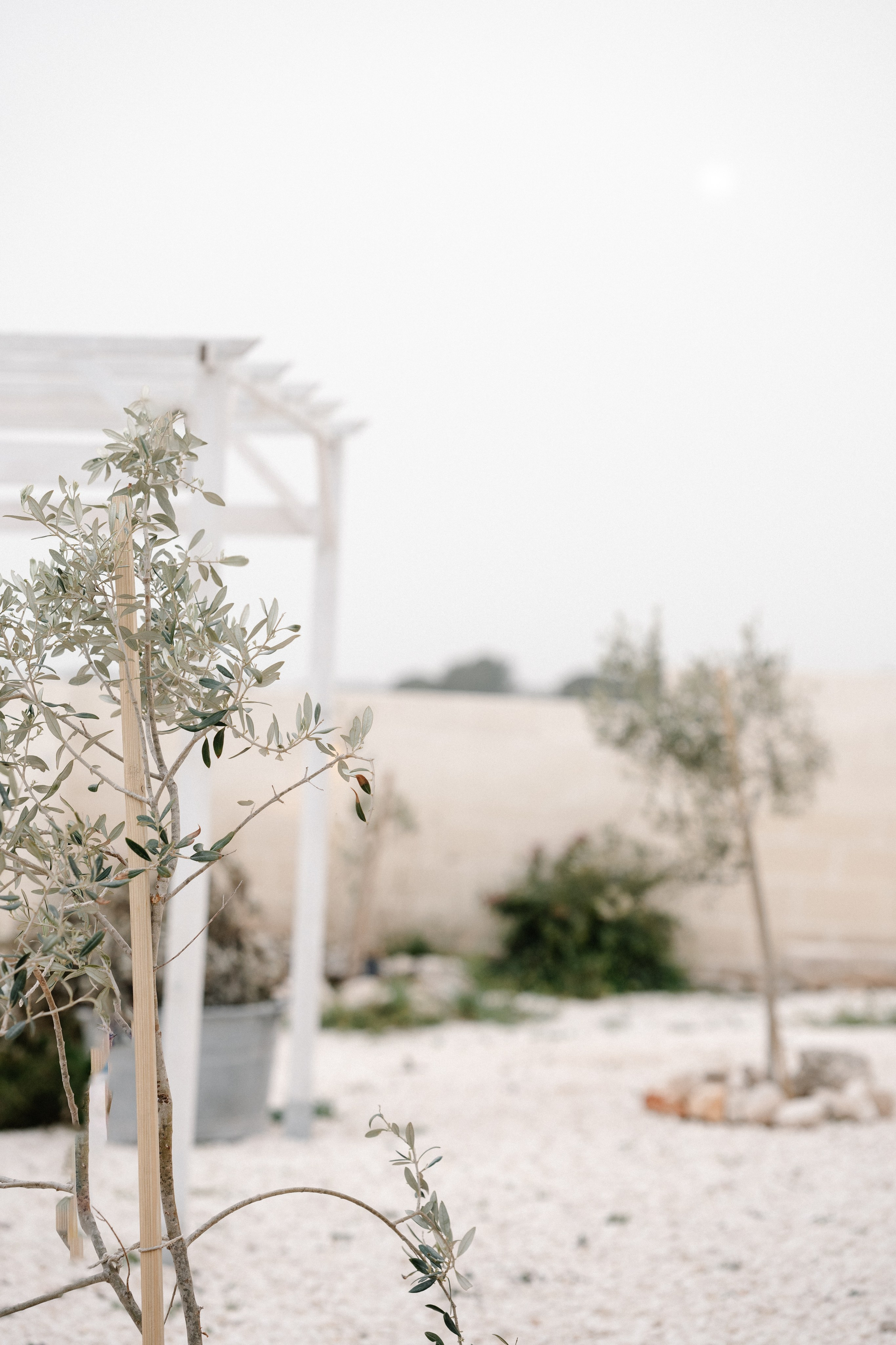 Alyssa&Sean. Весільний фотограф Вікторія Саврук