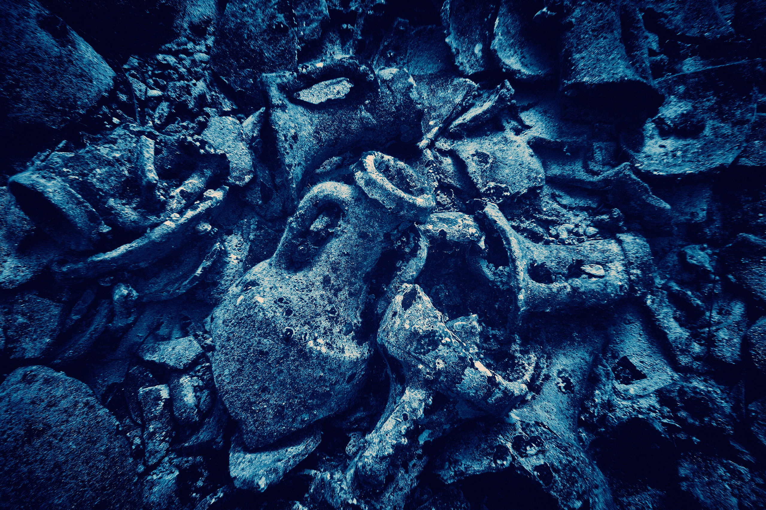 Fotograf podwodny Andriej Szypiłow. Andriej Szypilow - Fotografia & Wideografia