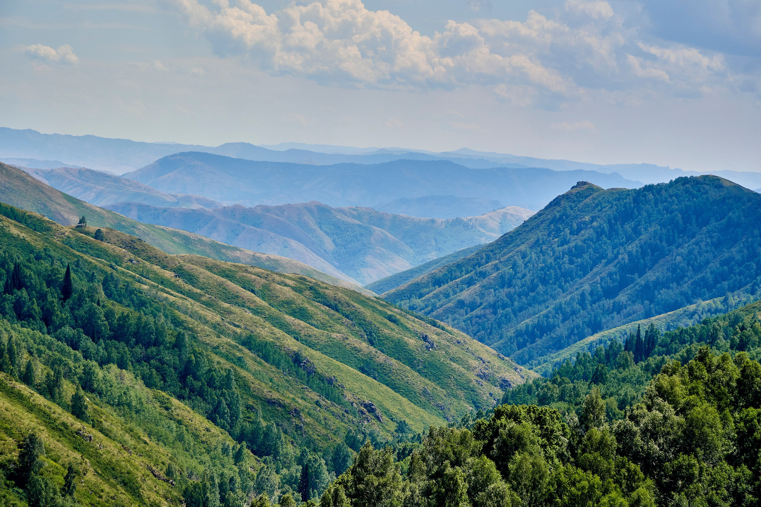 Бухтарма. Андрей Шипилов — Фотография & Видеография