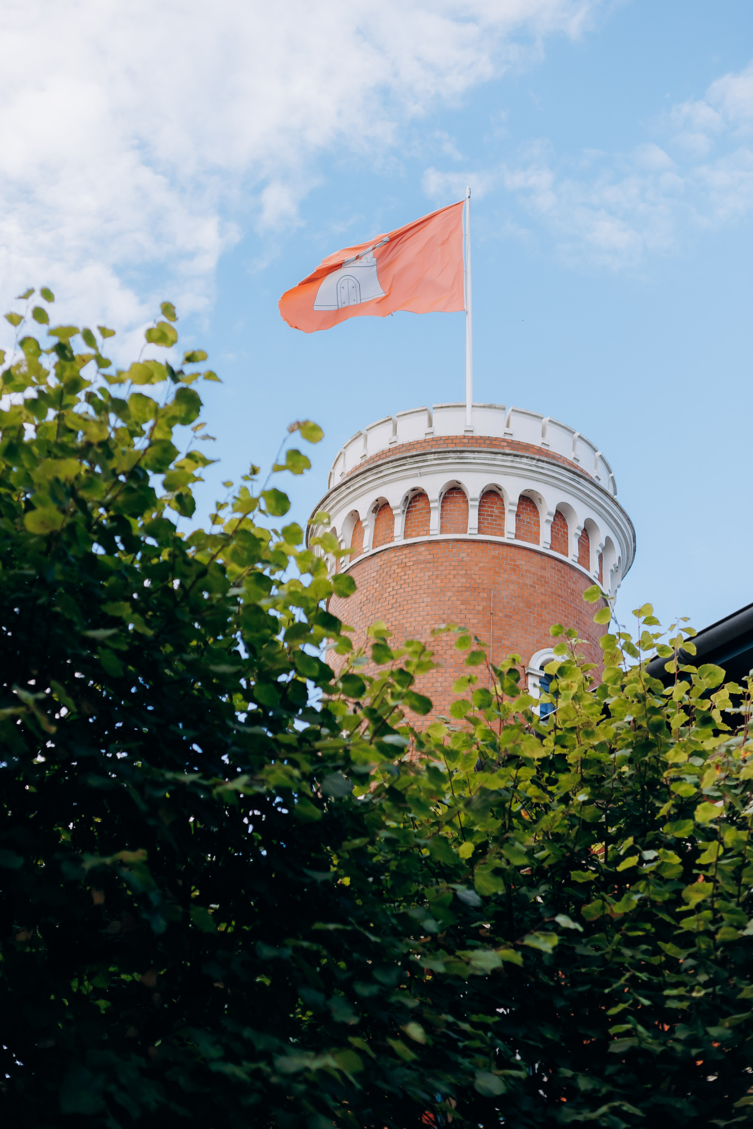 Nader & Sarah. Wedding and Family Photograph