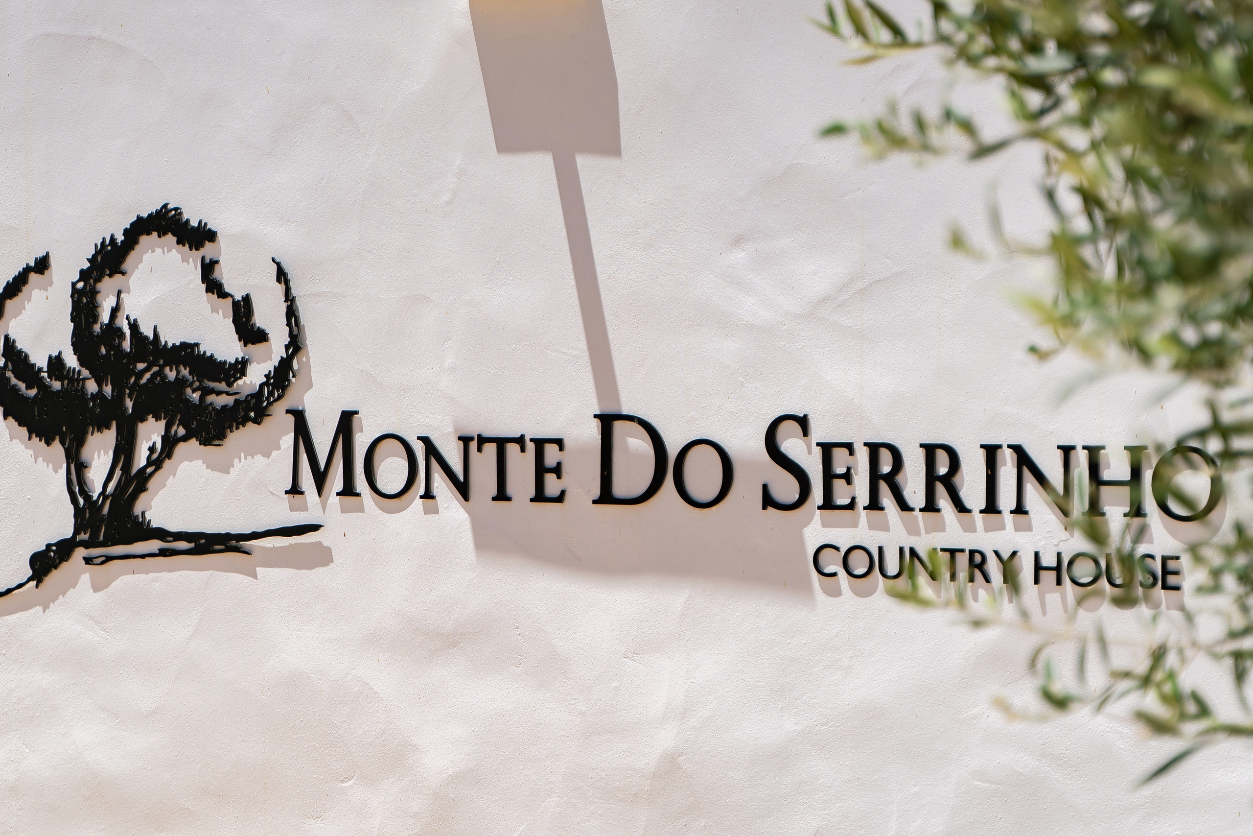 Свадьба Ирина и Василий. Фотограф в Португалии Александра Ефимова