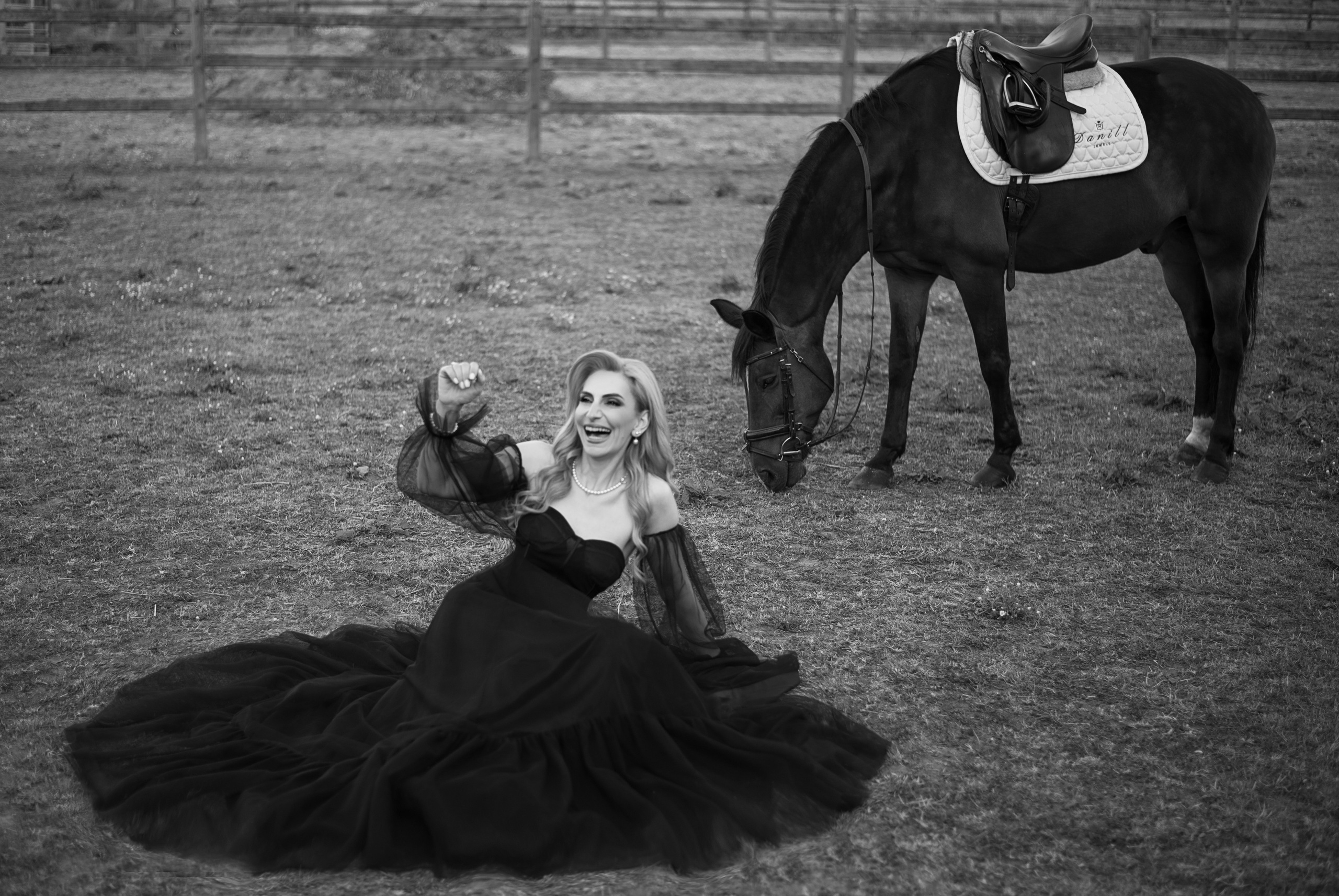 Photoshoot with Horses. Professional Photograher, Antwerpen/Belgium