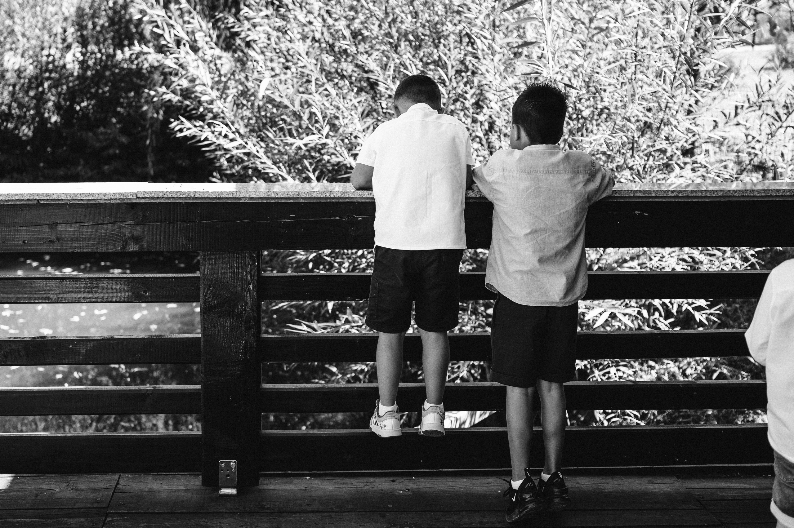 Ionut si Mihaela. Valentin Melen - fotograf de nunta 🤍