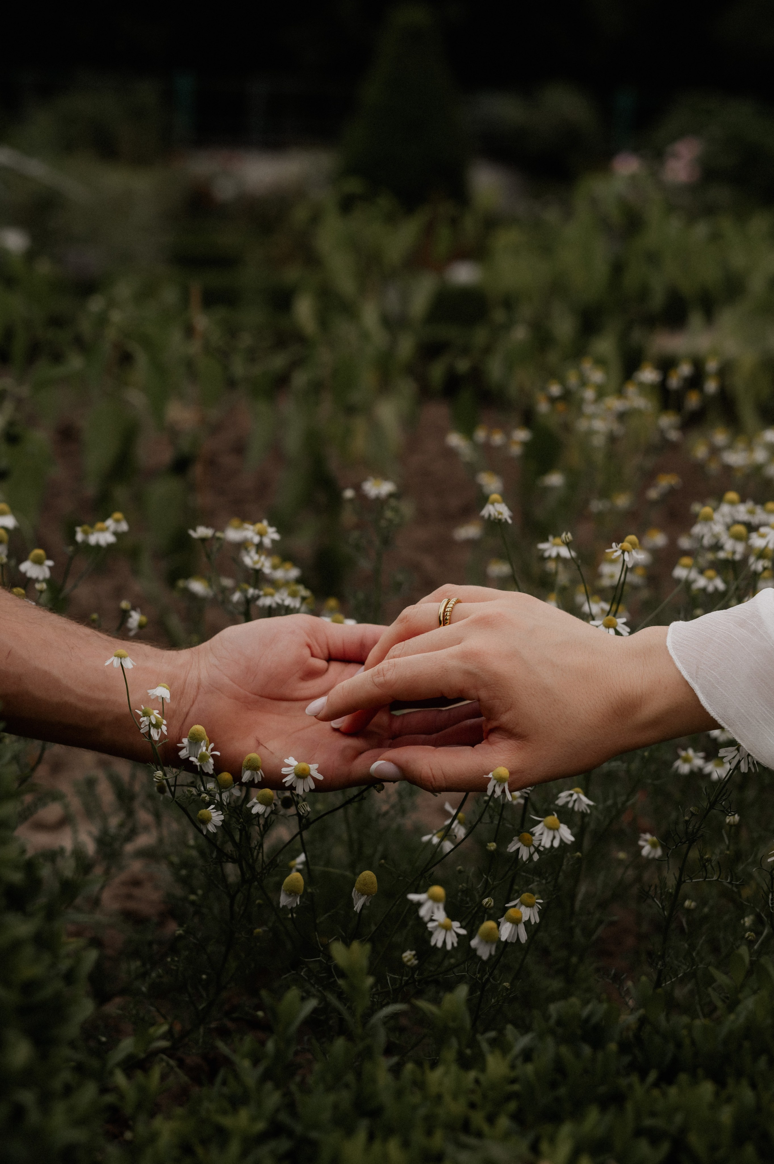 22:22 | Paarshooting in Ansbach. Фотограф в Нюрнберге Ирина Менерт из Ансбаха