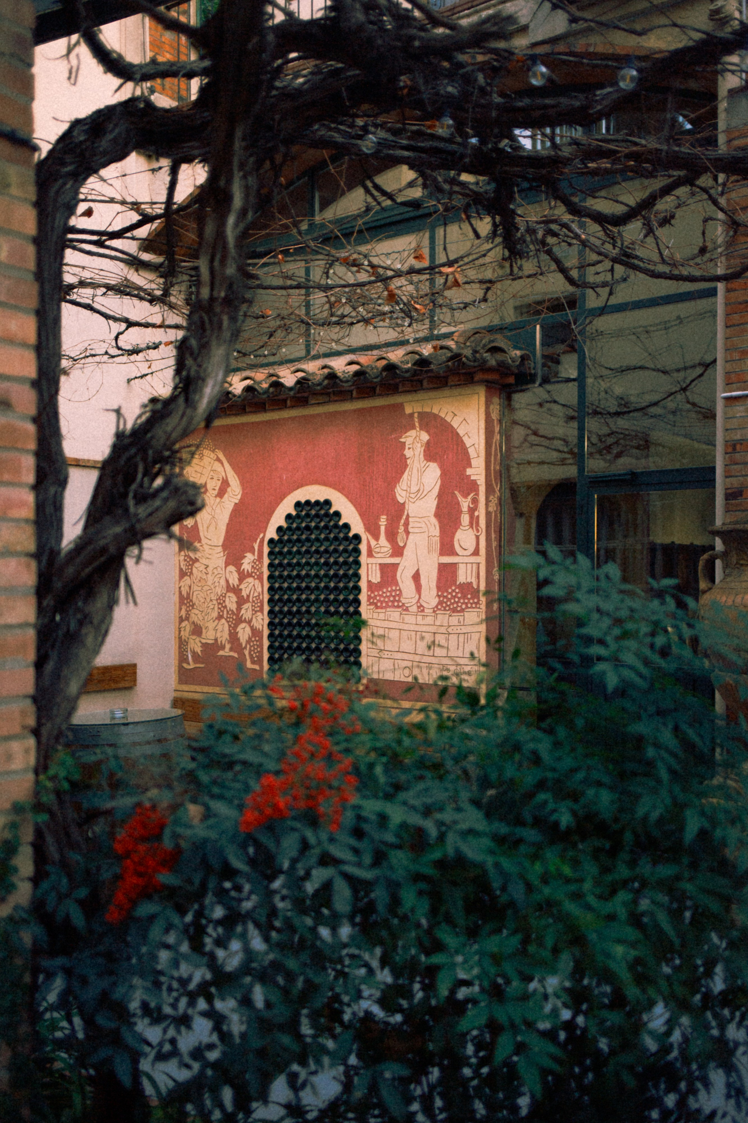 Mi cumpleaños y la bodega. Marina Kálcheva – Photographer, Videographer & Visual Artist in Barcelona