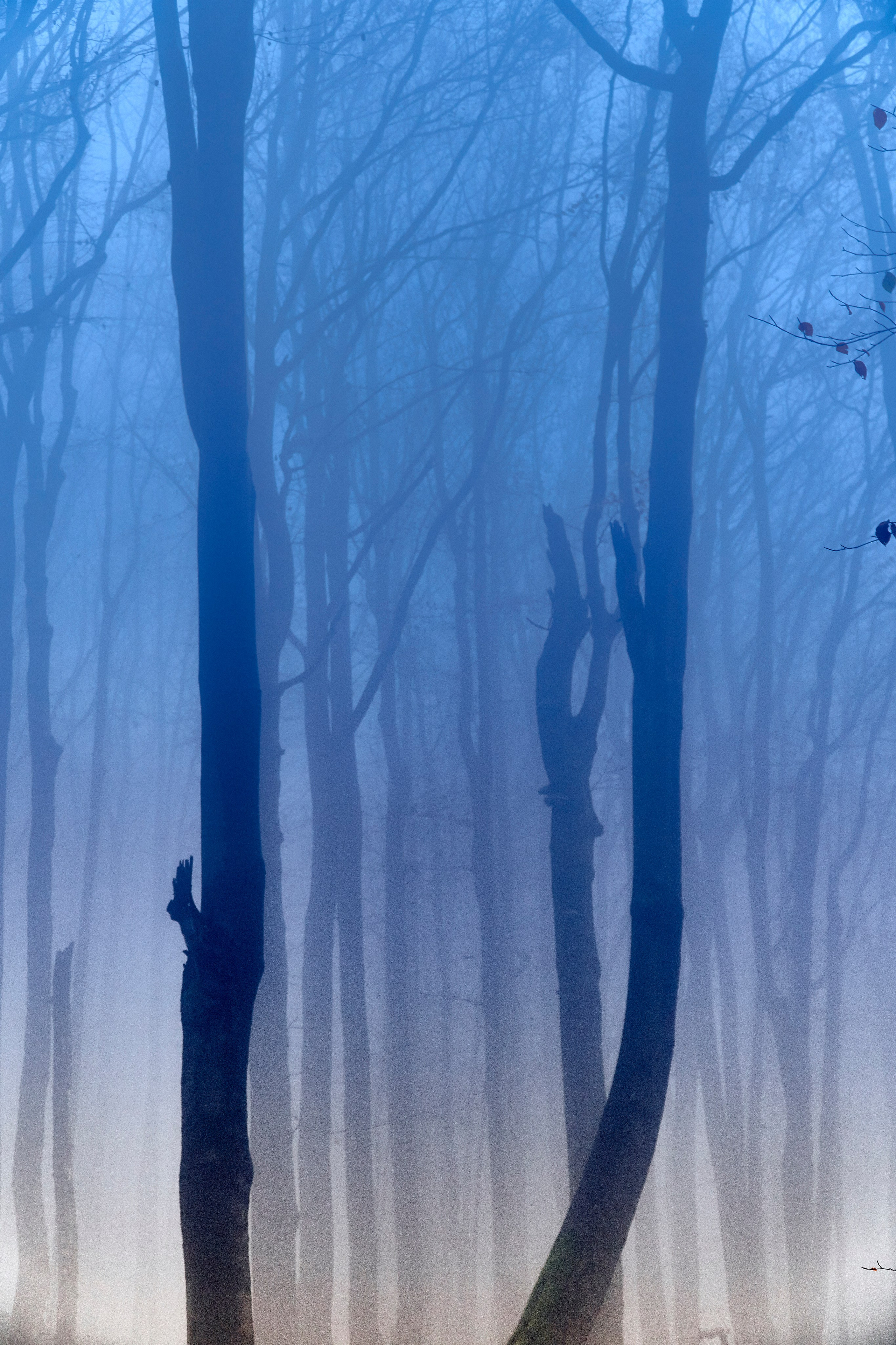 Bieszczady - tu zatrzymuje się czas. Andriej Szypilow - Fotografia & Wideografia