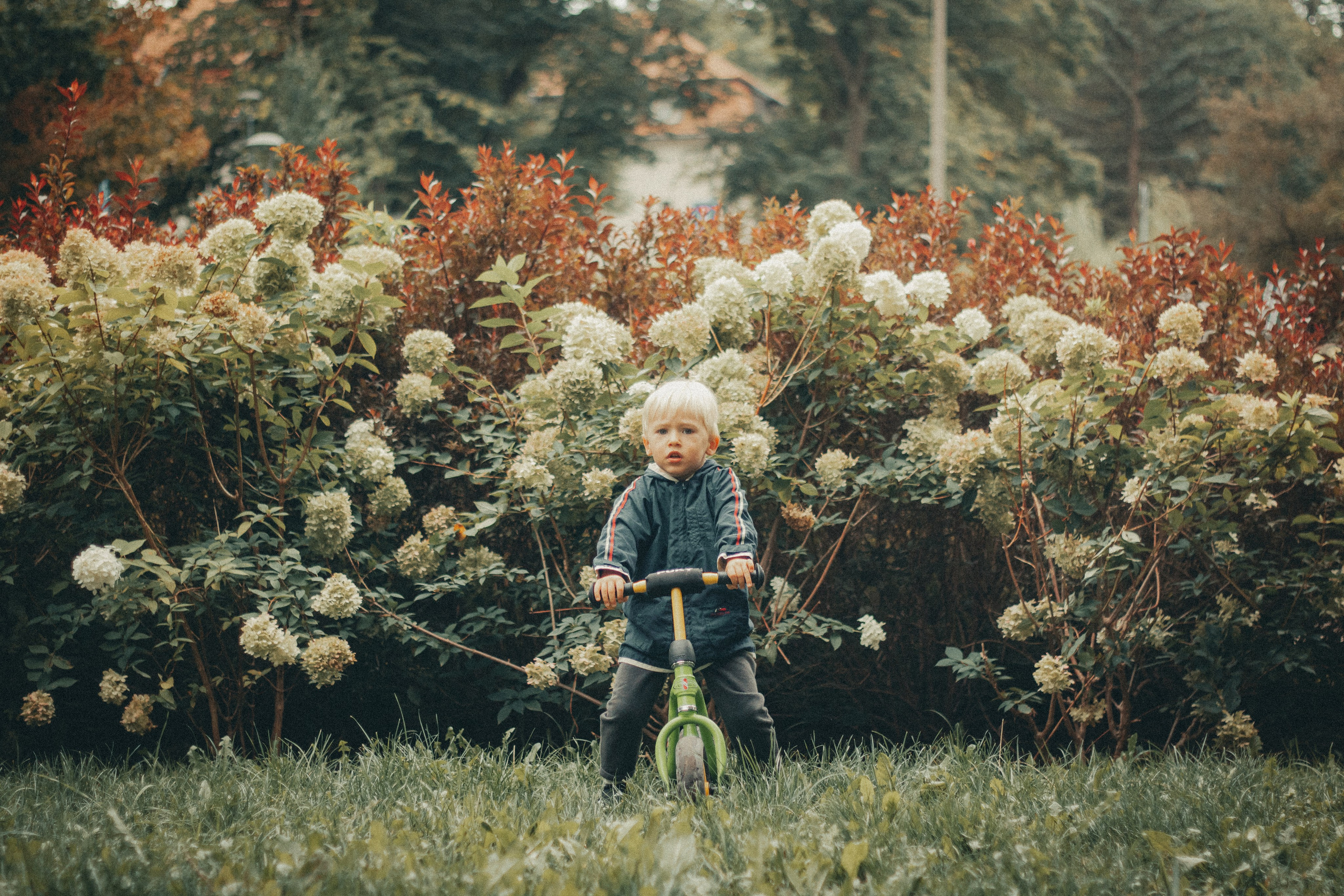 Sesje dziecięce. Ania Smol Fotograf Olsztyn