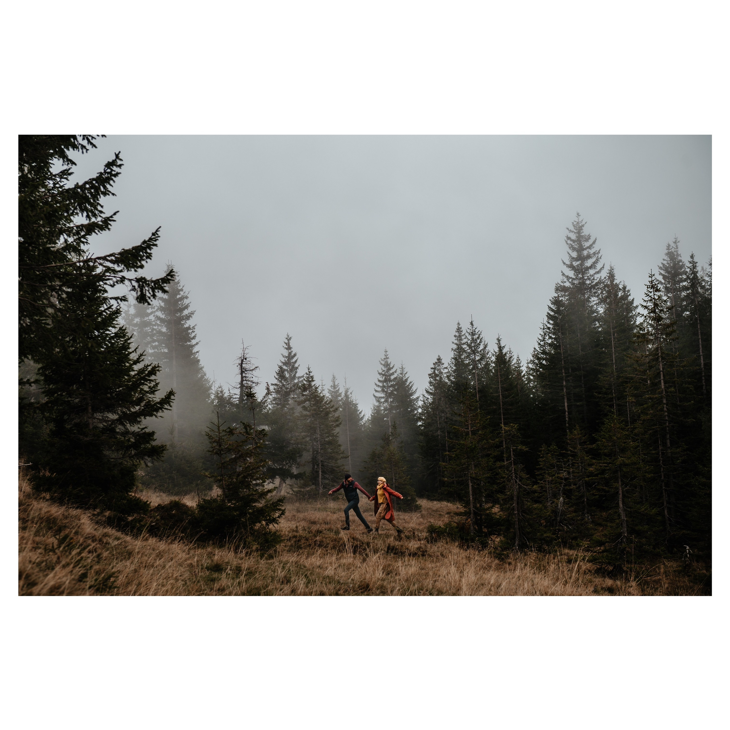 Workshop. Ionut Birceanu