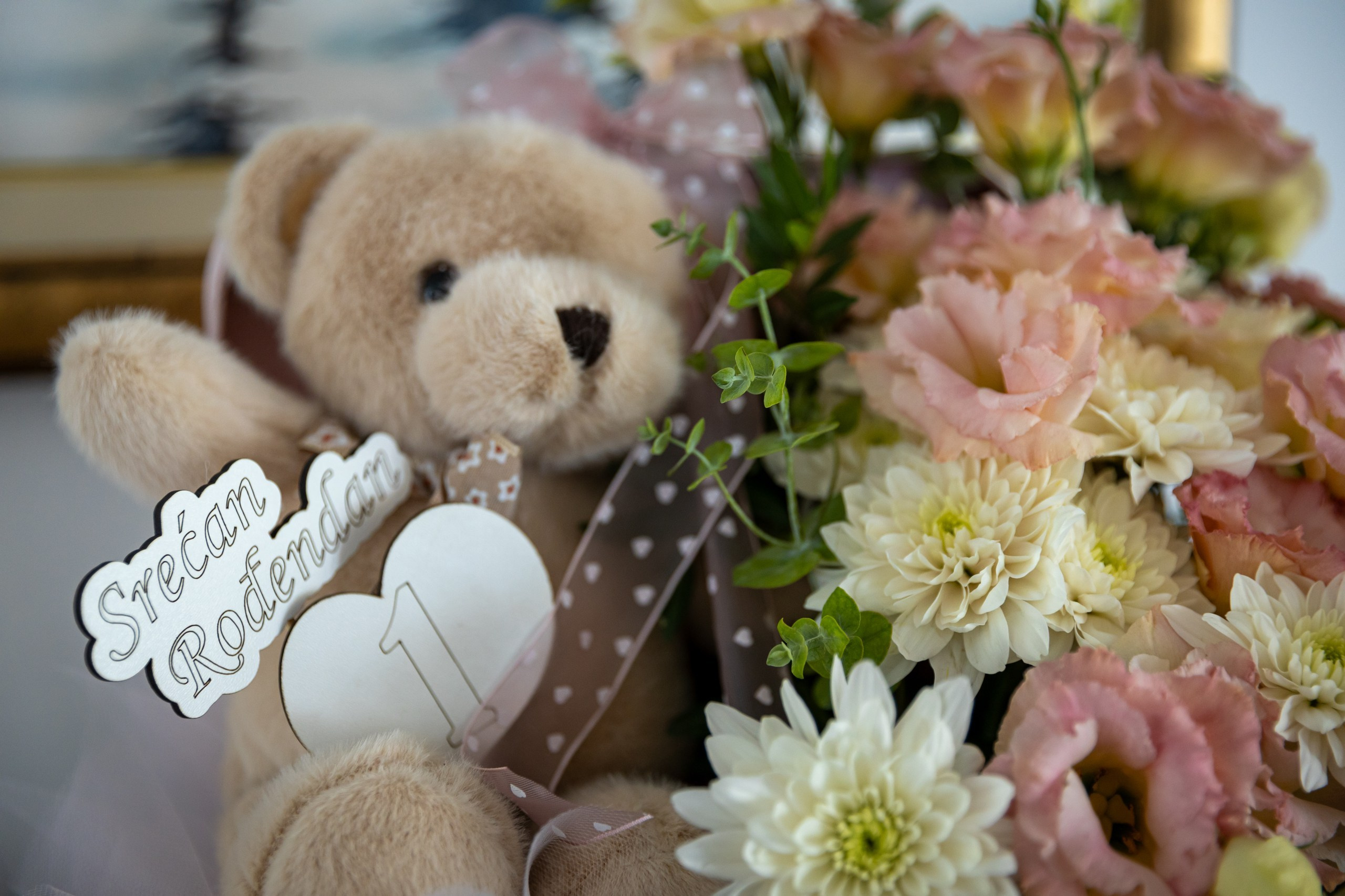 Irina prvi rođendan. Marko Tucić Photography | Fotograf Zrenjanin