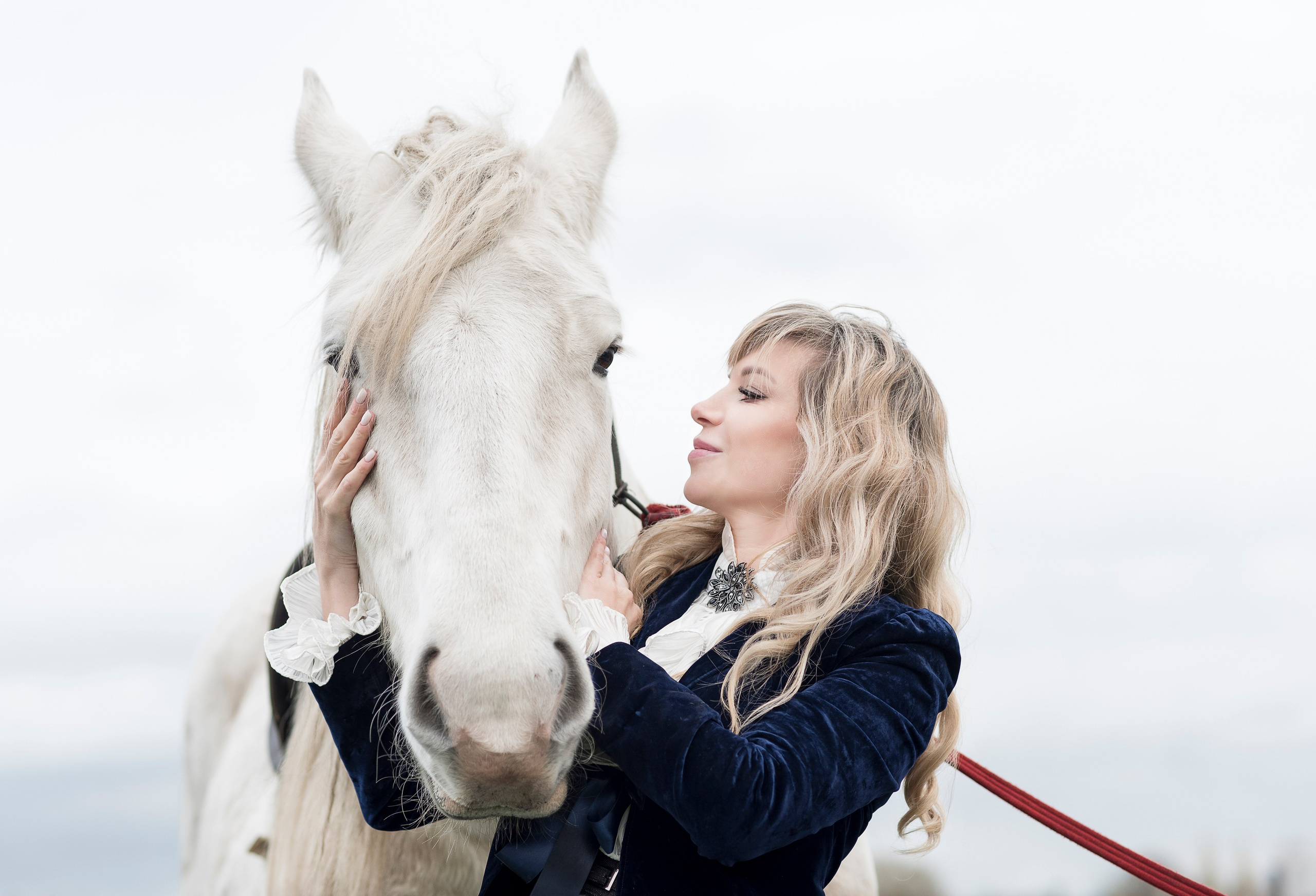 Photoshoot with Horses. Professional Photograher, Antwerpen/Belgium
