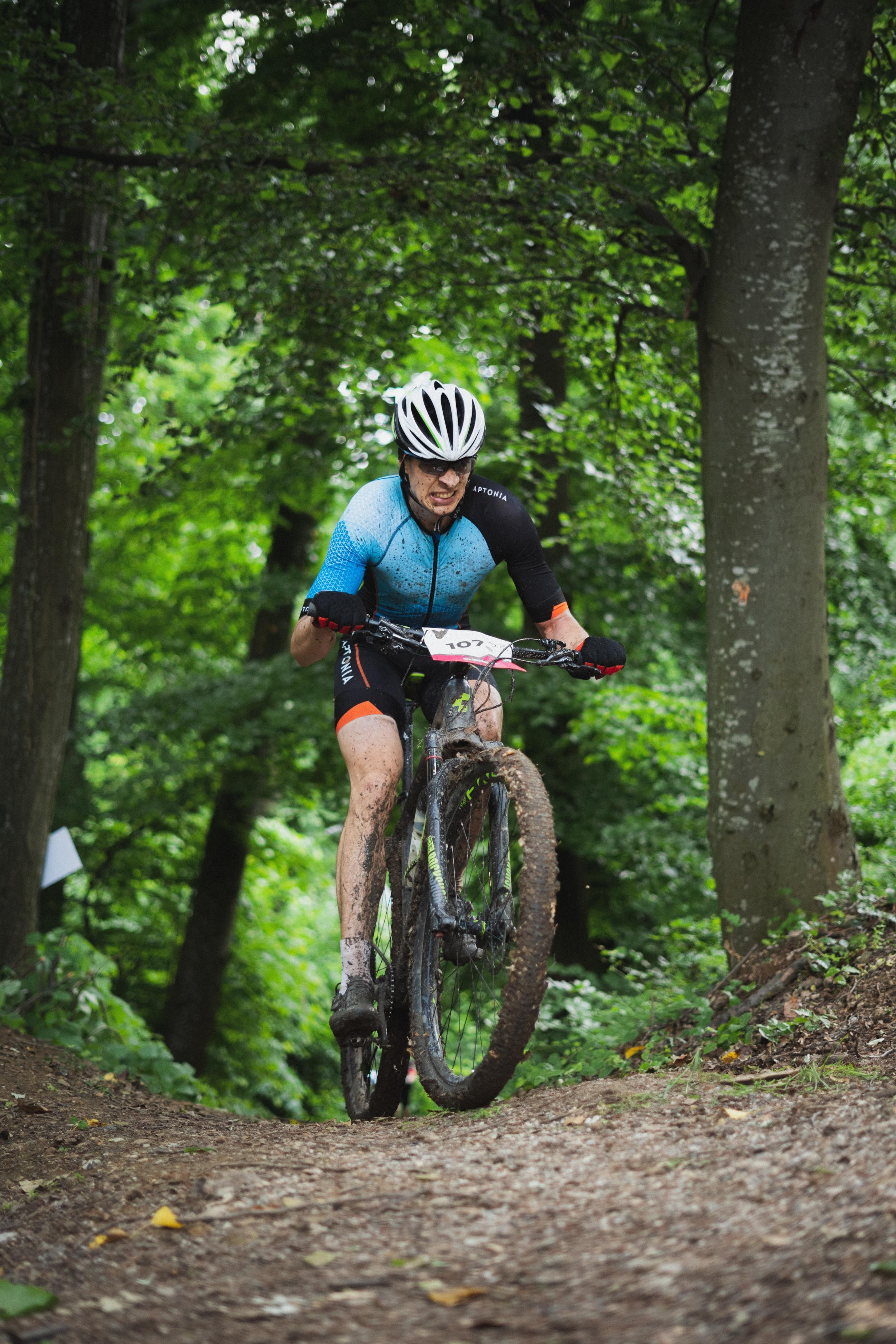 Tour de Fruska. Zhukov studio