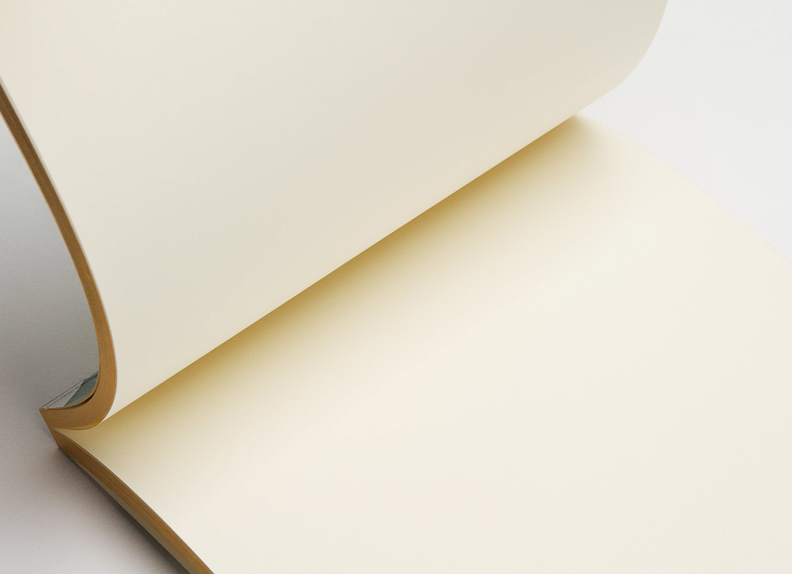 Предметная съемка. Abdrshin Valeriy photographer