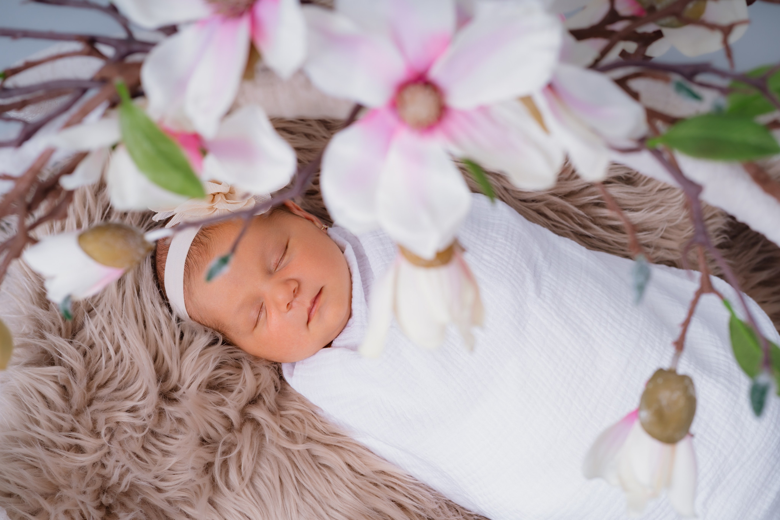 Newborn. VStudio — mai mult decât fotografii