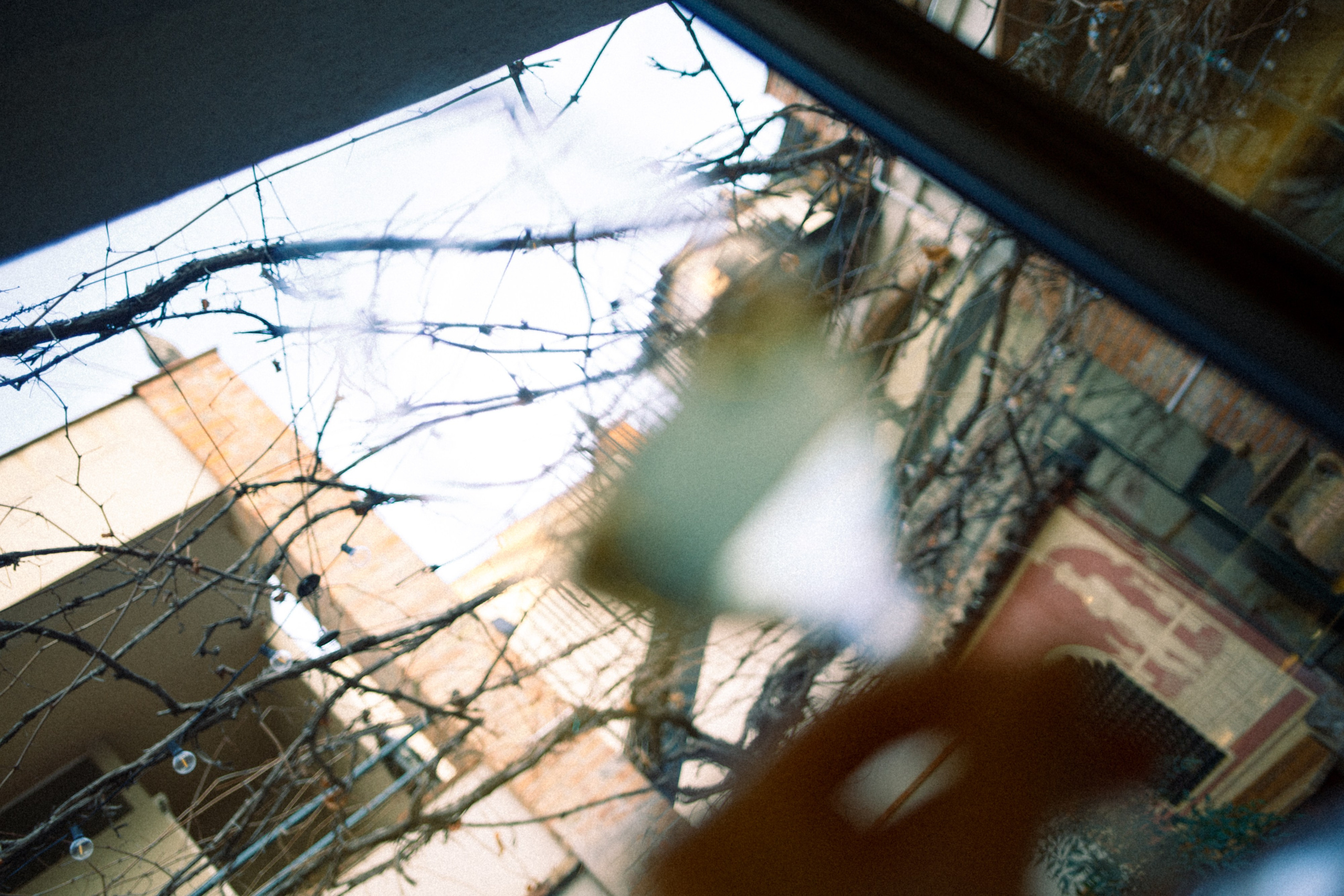 Mi cumpleaños y la bodega. Marina Kálcheva – Photographer, Videographer & Visual Artist in Barcelona