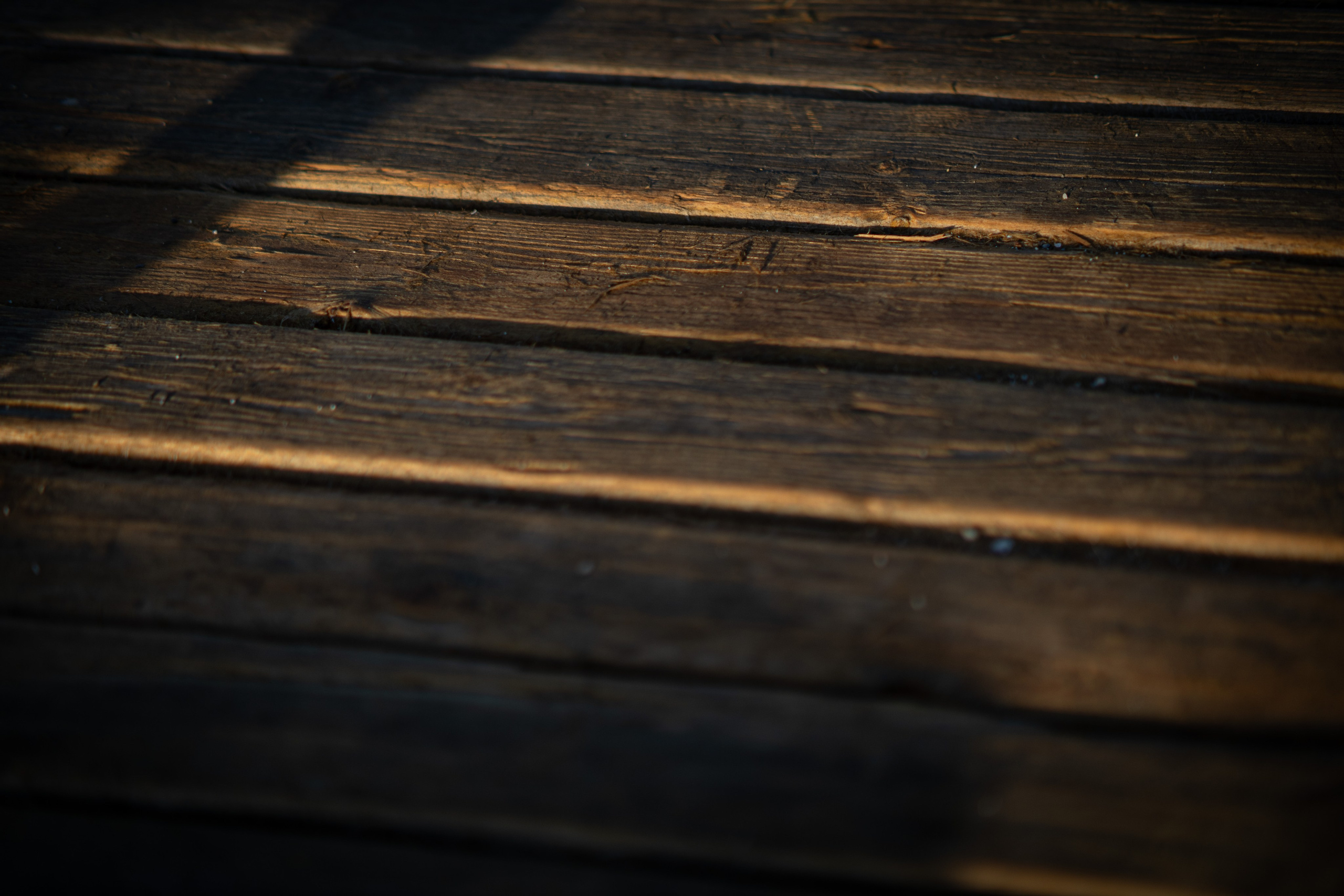 Ästhetik. Fotografin Kati Rebling