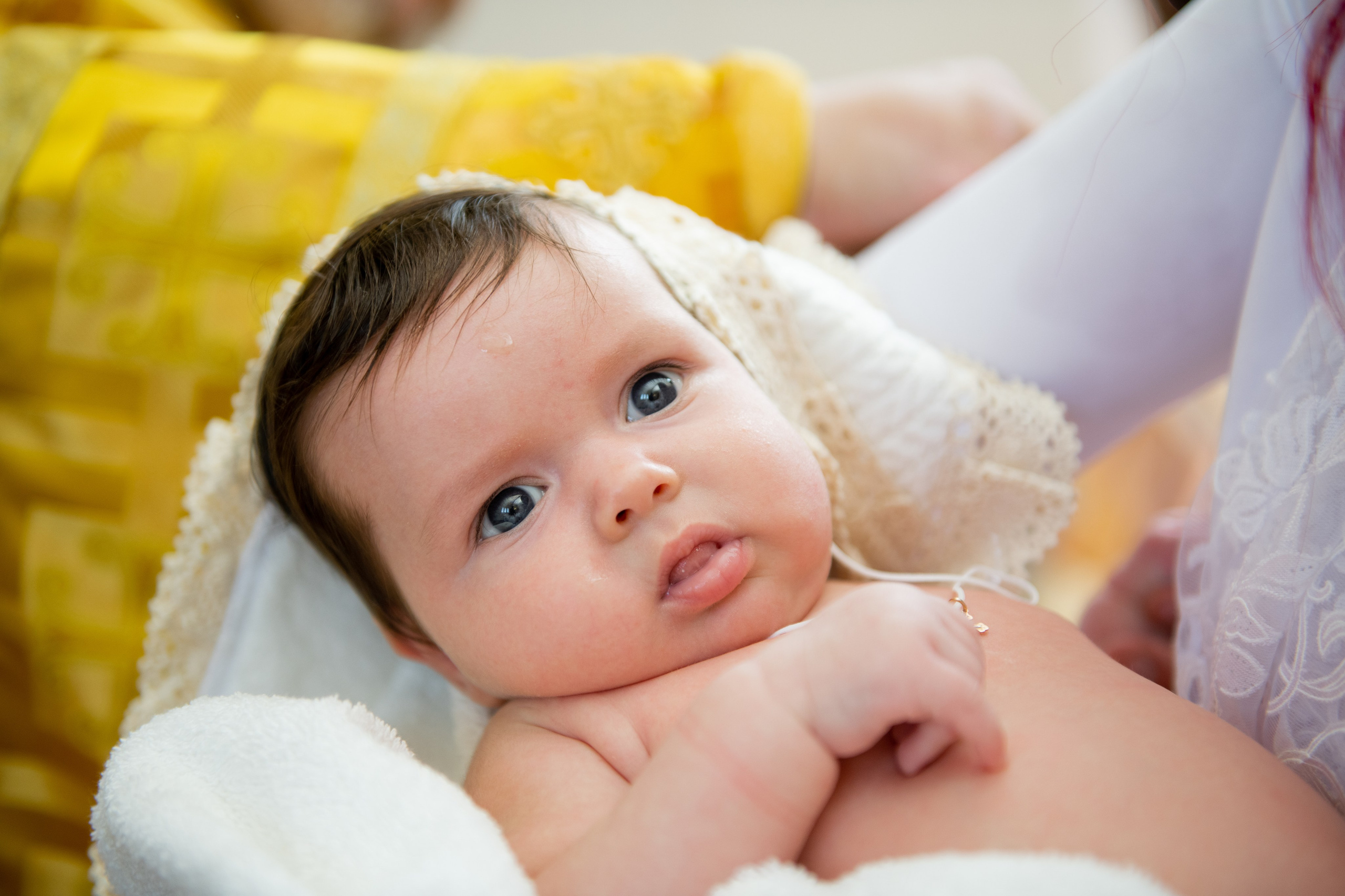 07.09.2024. Fotograf de familie Vitalie Budoianu