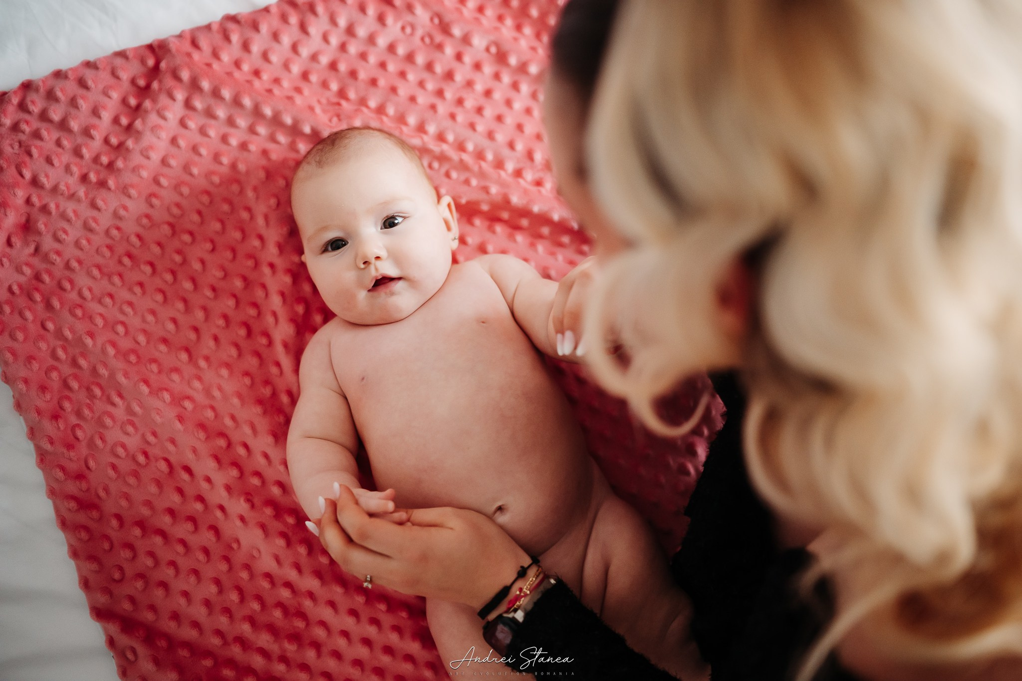 Zenayda. Andrei Stanea