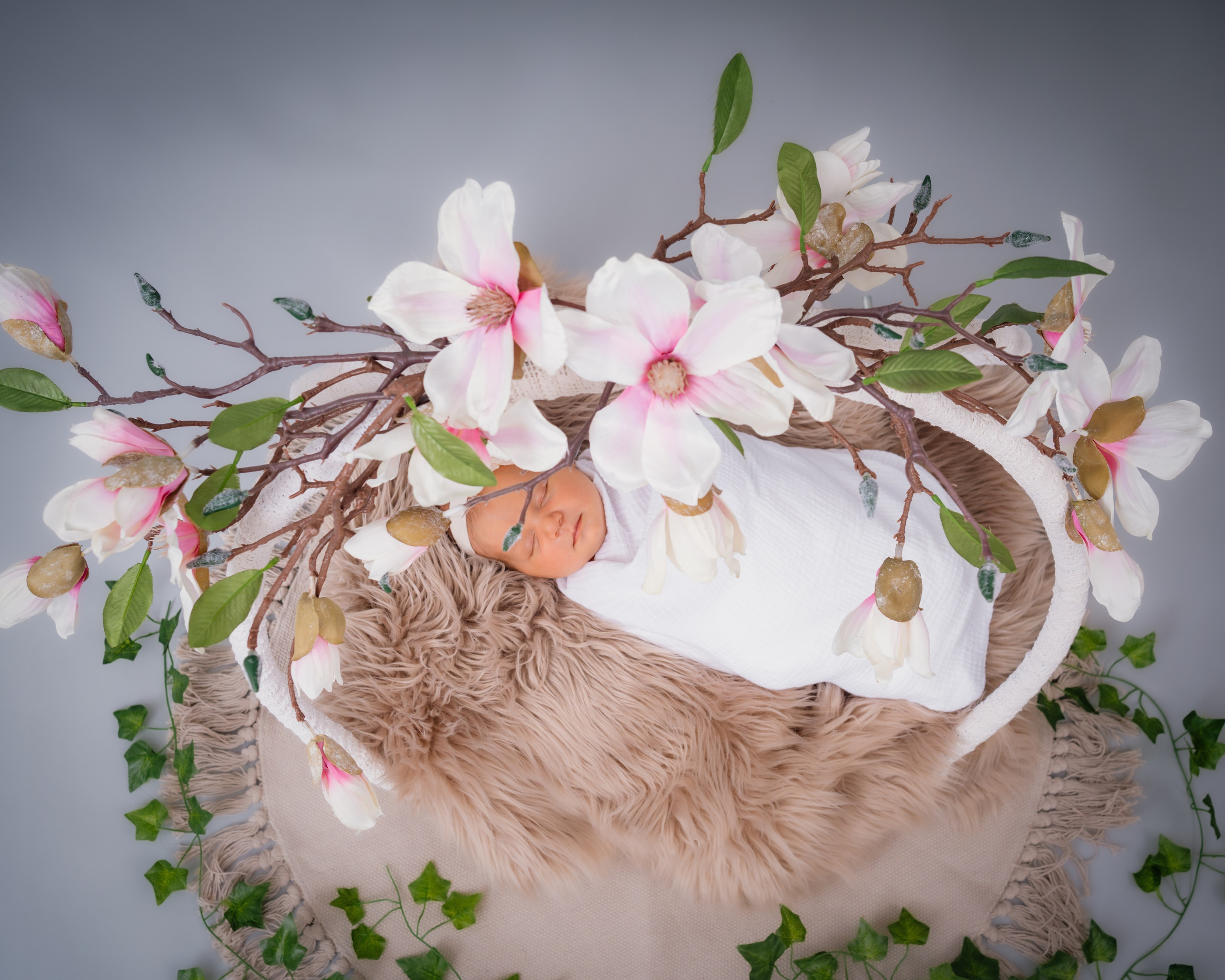 Newborn. VStudio — mai mult decât fotografii