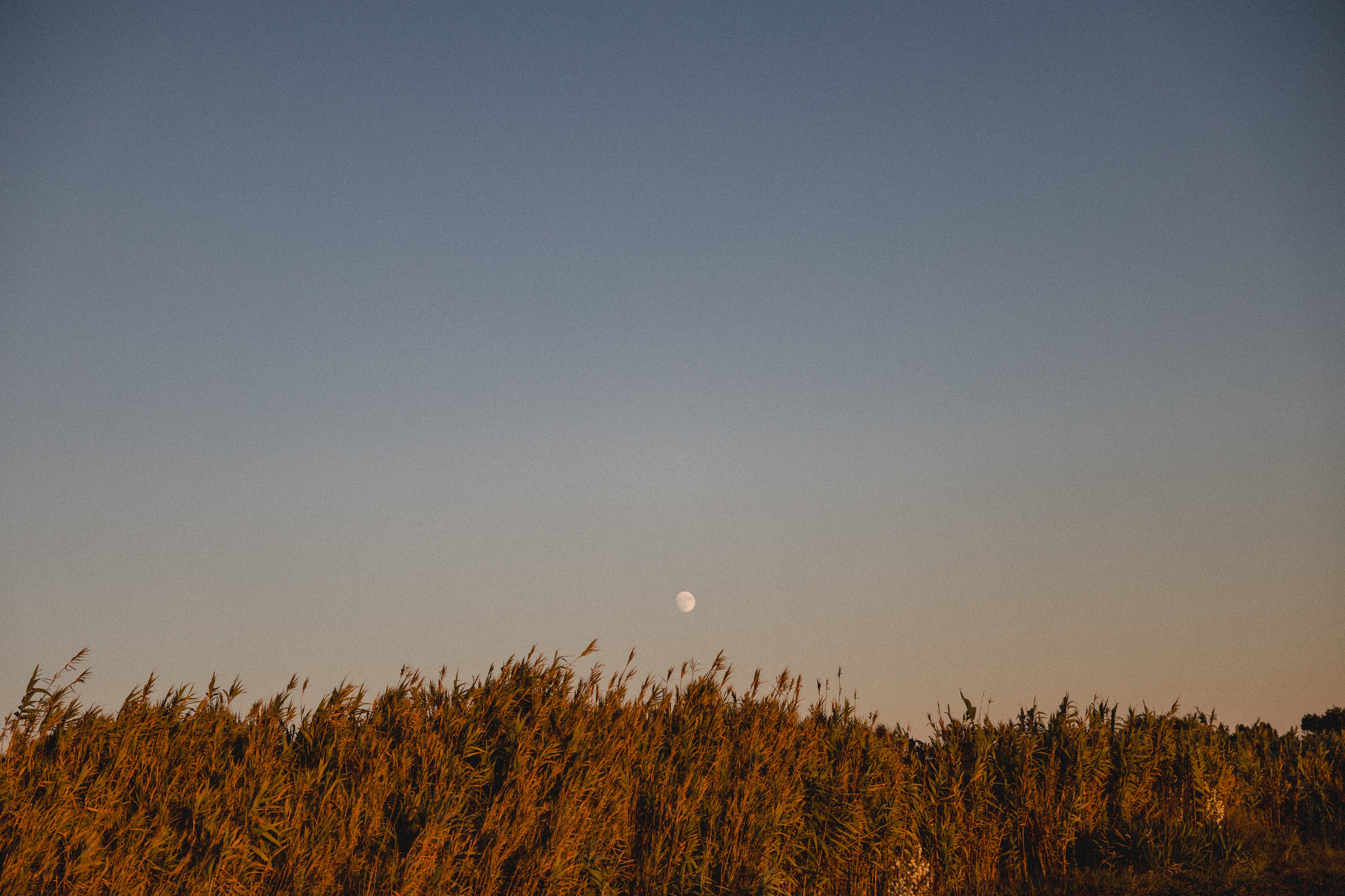 Tânia & Gui. Photographe de mariage et de famille à Braga — Alexandra Mieres Photography