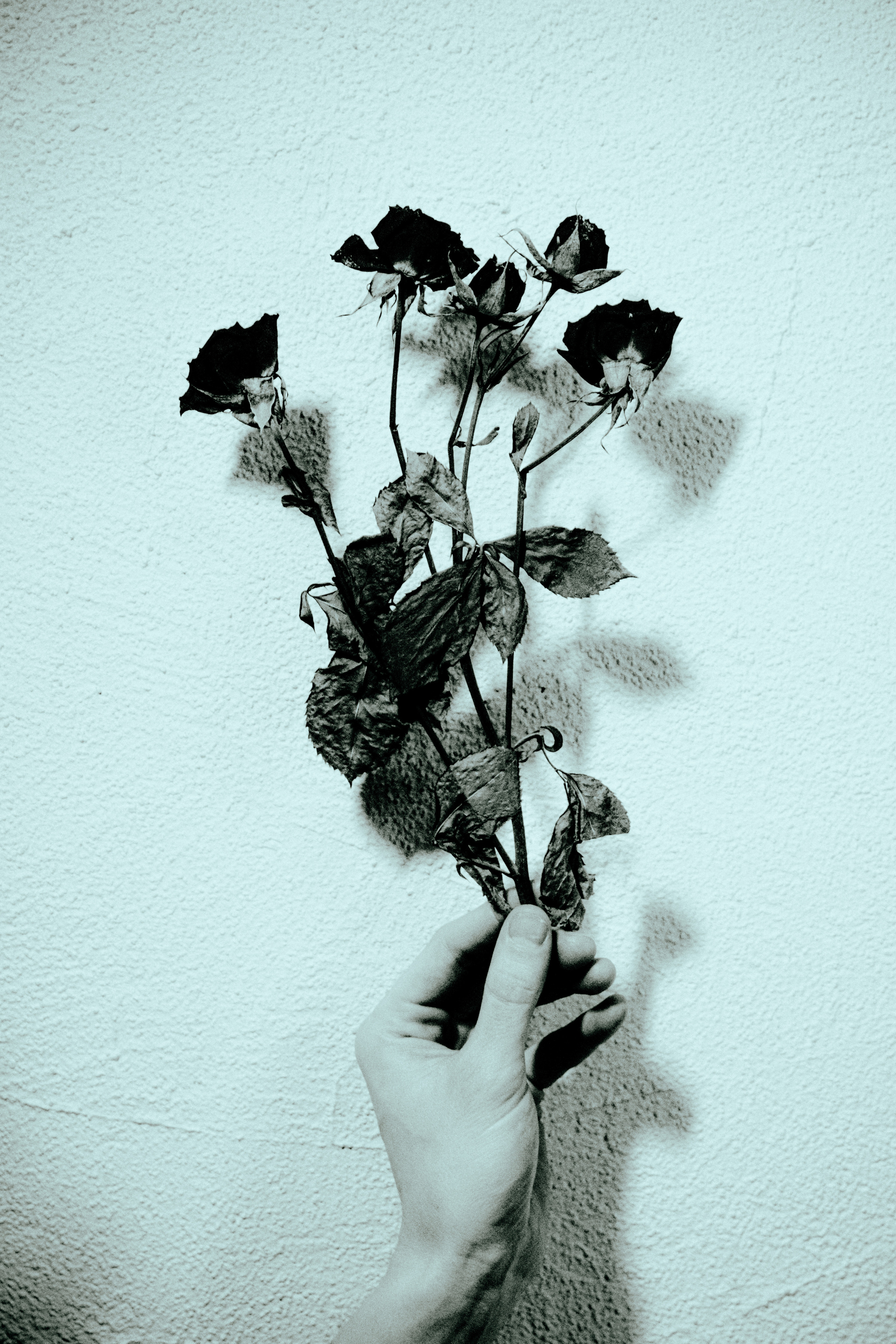 Mila. Anton Usanov | Creative producer | Photographer | Art-director