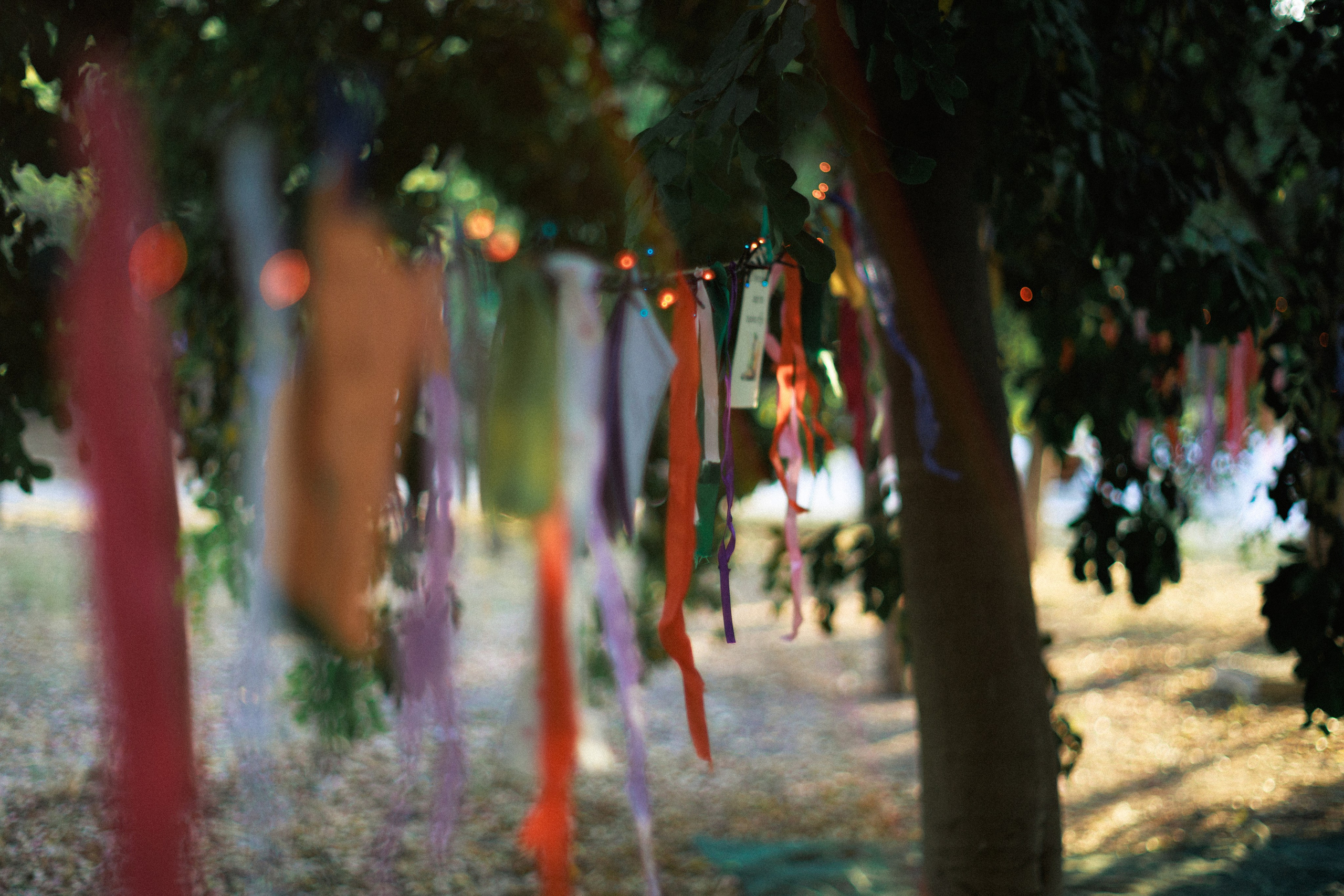 Irish Festival '25. Photographer in Greece Kristina