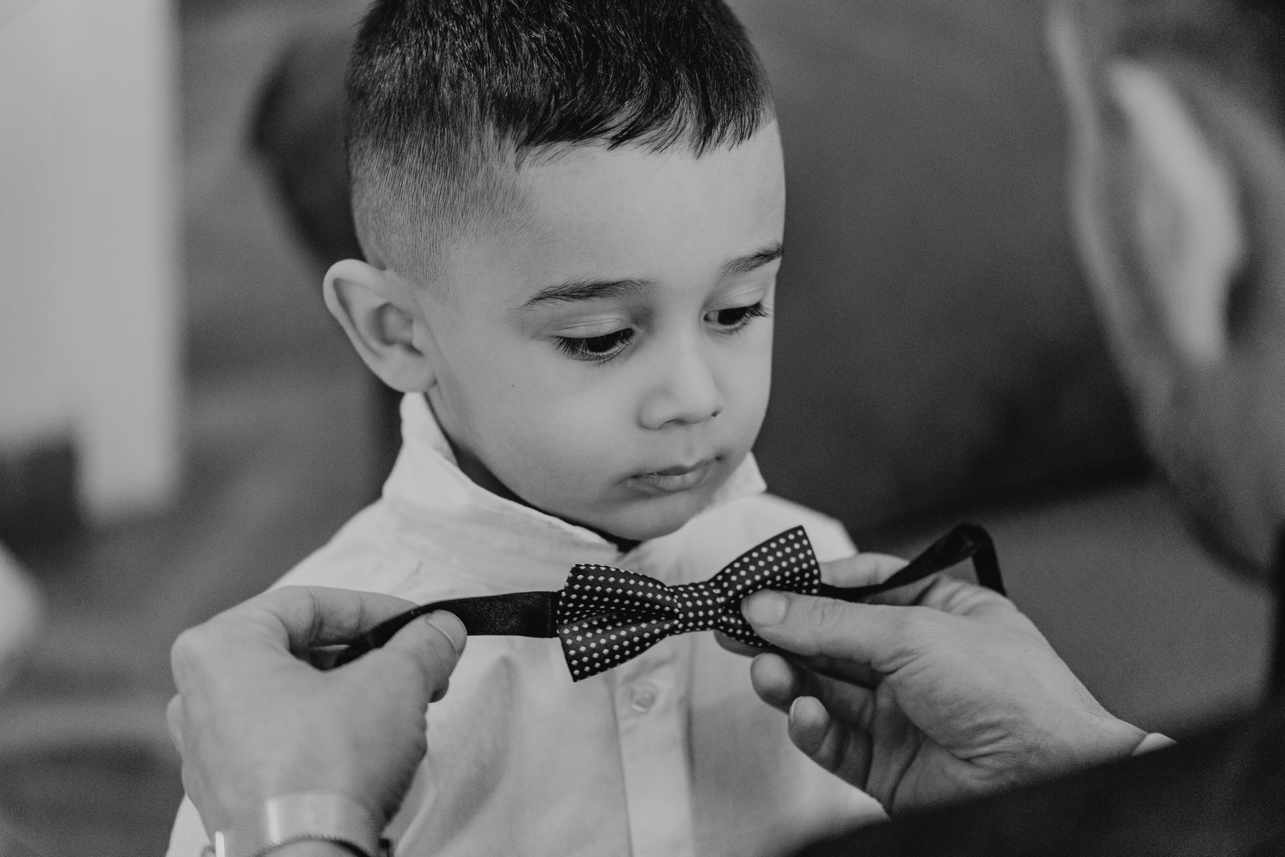 Fotografía de Bodas en Madrid - Rainbox: Capturamos Tu Amor con Pasión. Rainbox Estudio de Fotografía