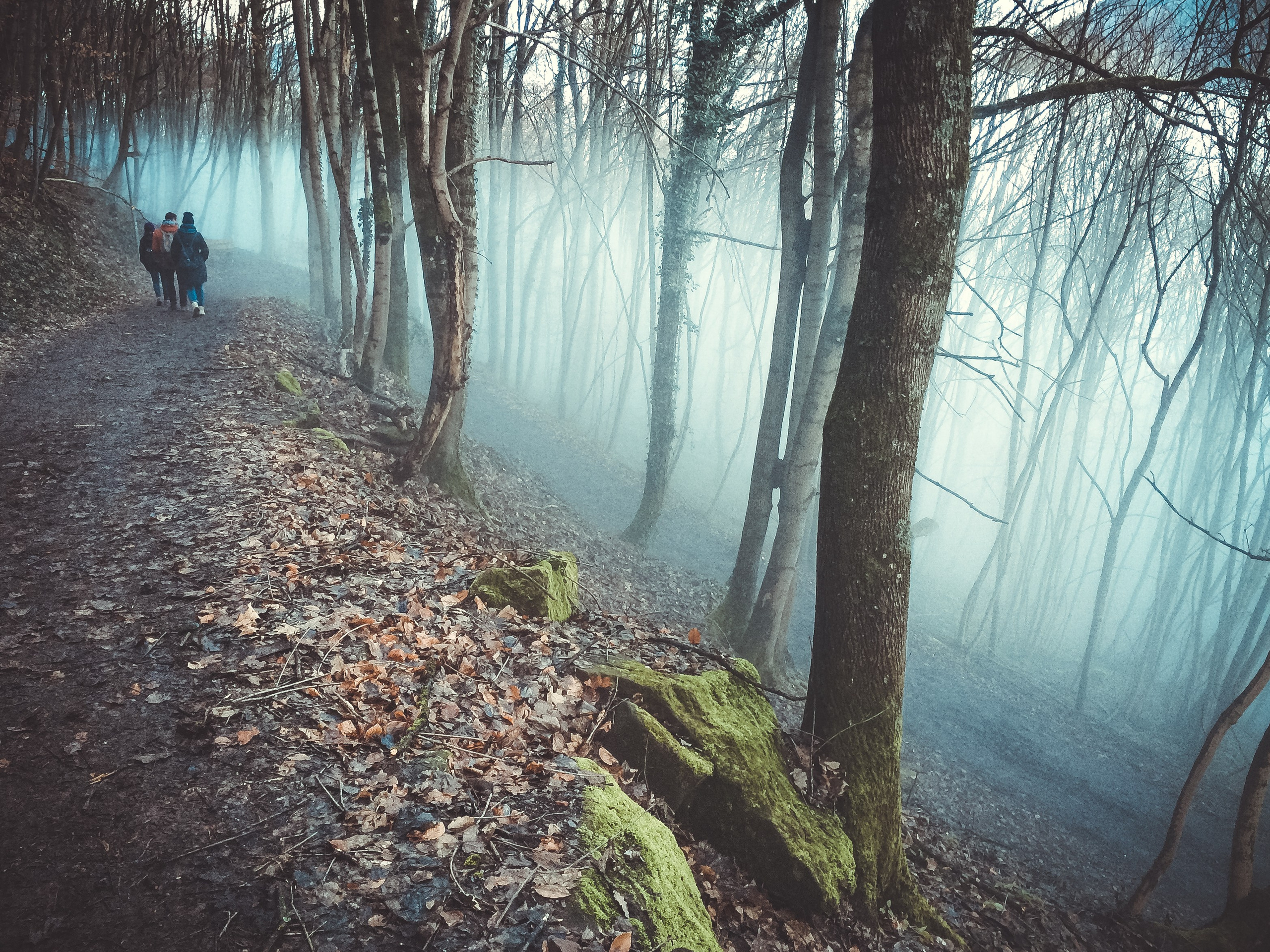 Трифельс: конструирование истории. Фотограф в Германии — Мария Чистякова
