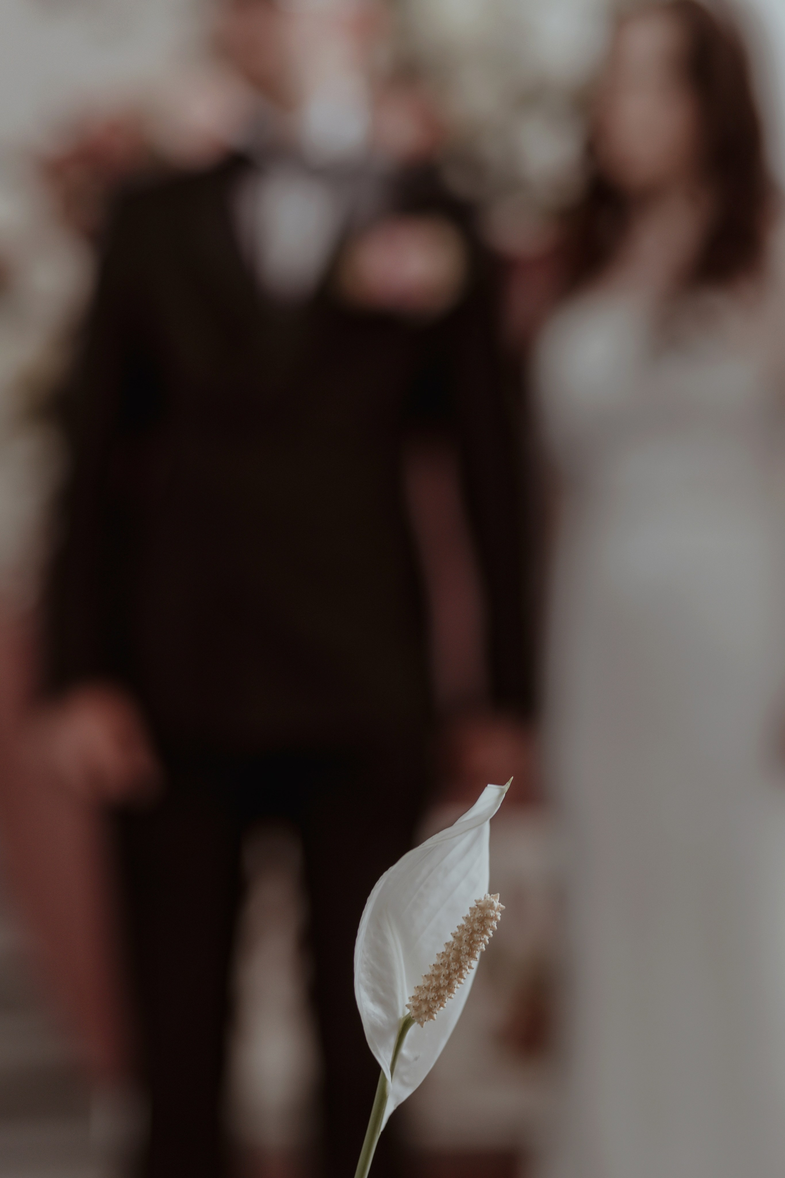 Cosmin & Damaris. Emotions Photo Art