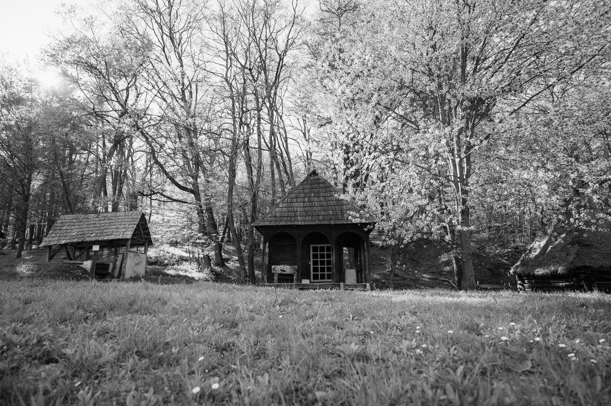 Sedinta love story Larisa&David