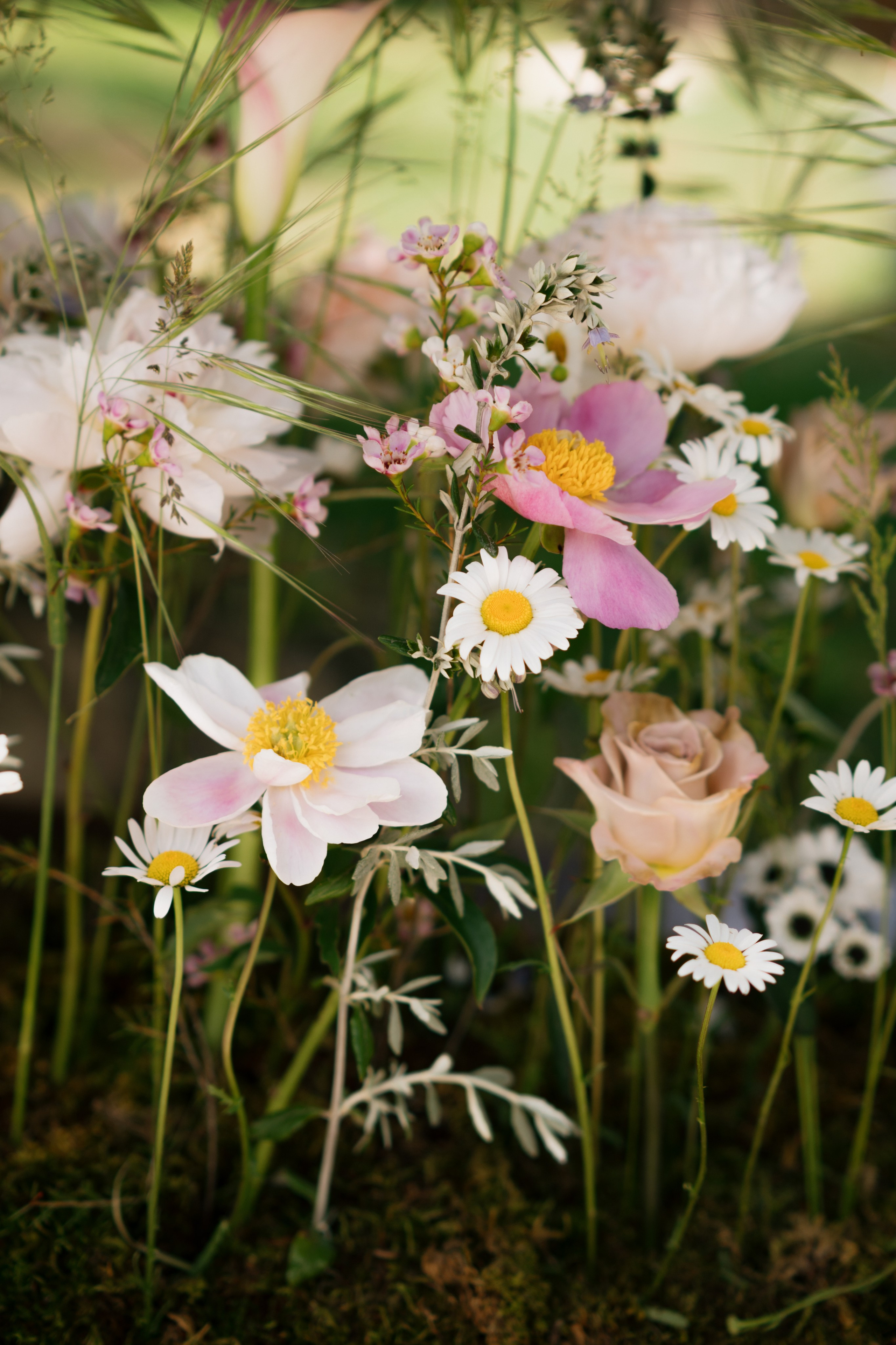Comunione Valentina. Photographer Iuliia Gladkikh, Italy, Abruzzo