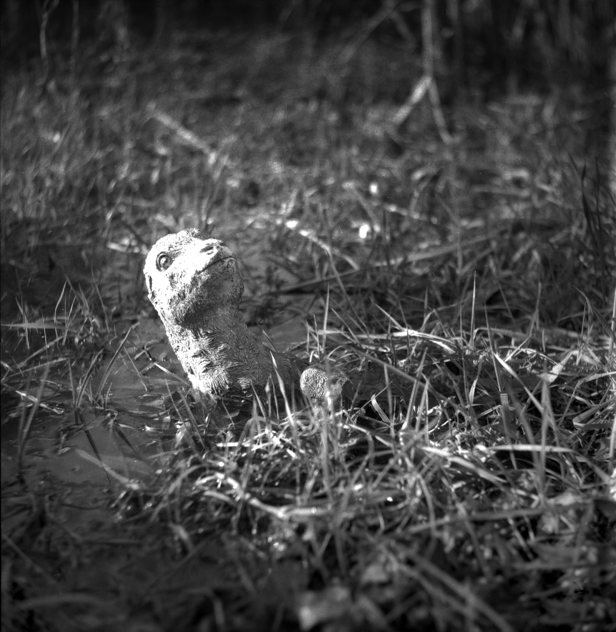 When it is day for angels in heaven, it is night for people on earth. Natalia Parfenova visual artist film photographer