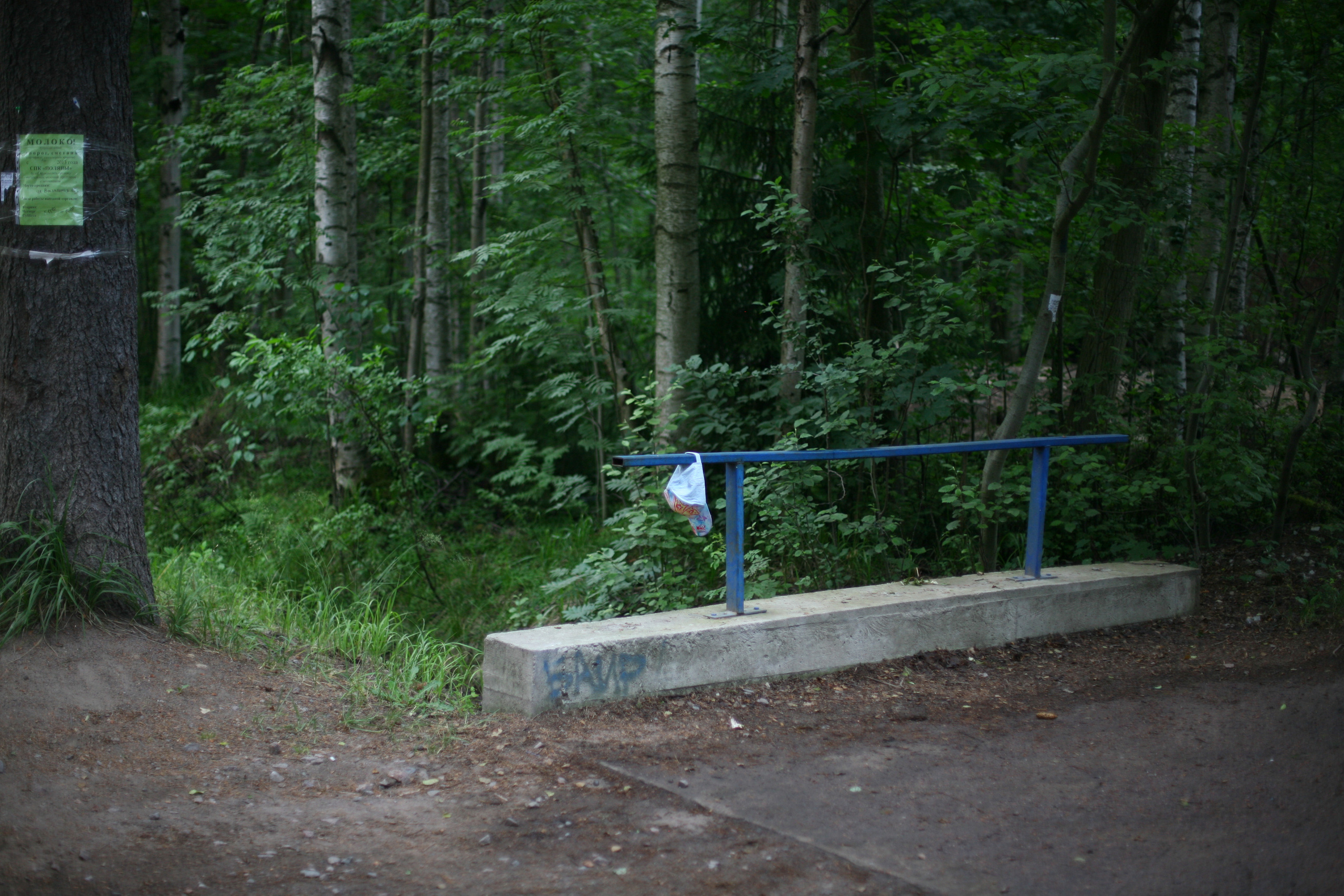 Documentary. Victoria Dini. Art photography in London / Folkestone, UK