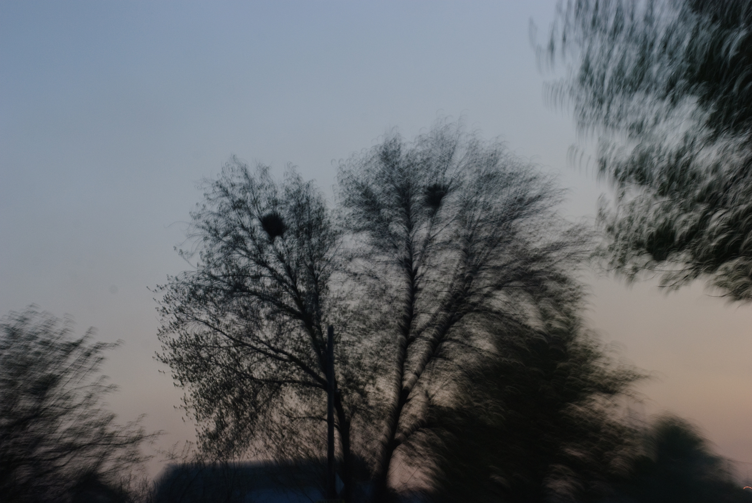 The road. Victoria Dini. Art photography in London / Folkestone, UK