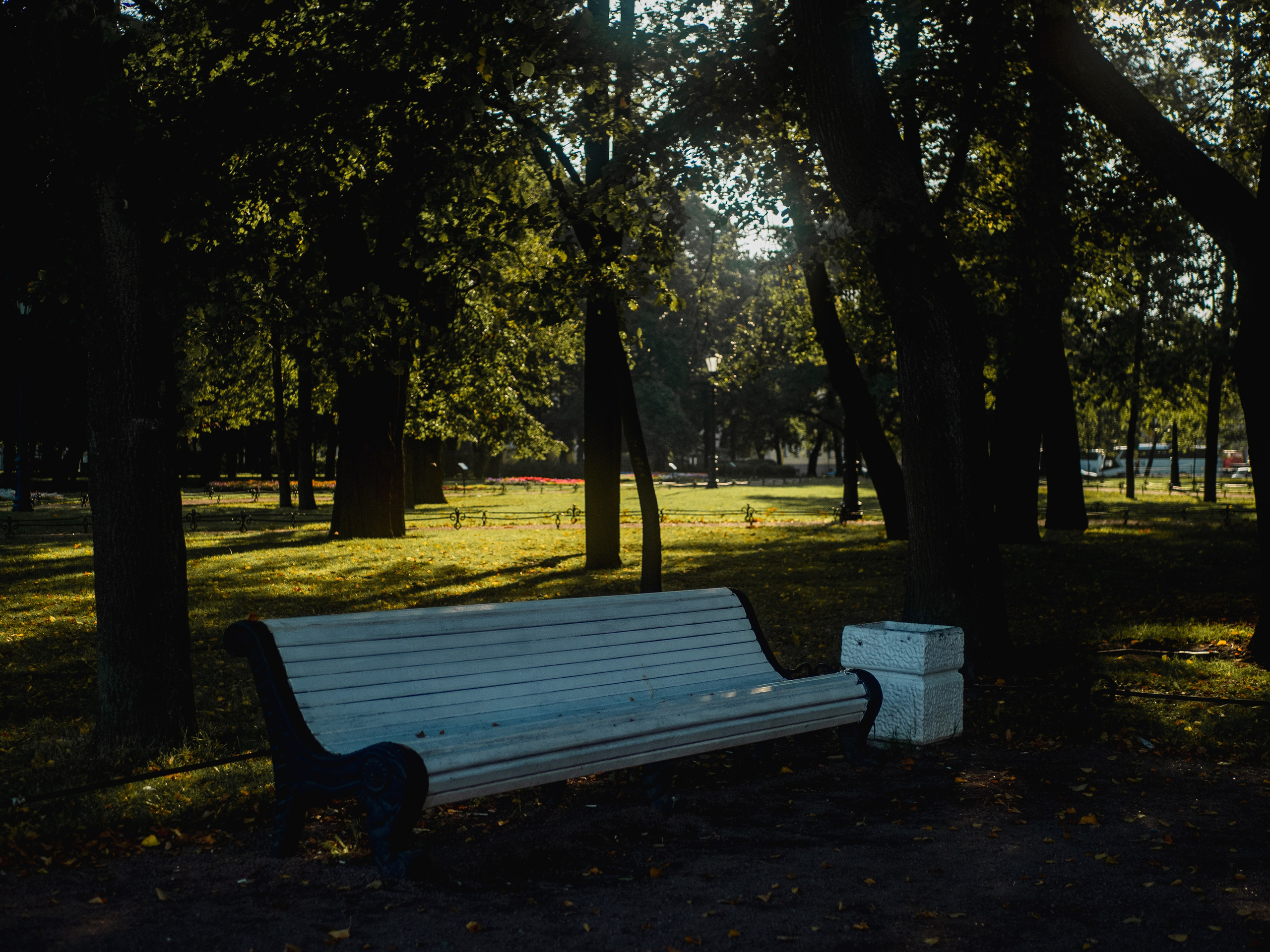 Saint-Petersbourg. Photographe sur Cote d’Azur. Portraits de familles, couples, enfants, événements