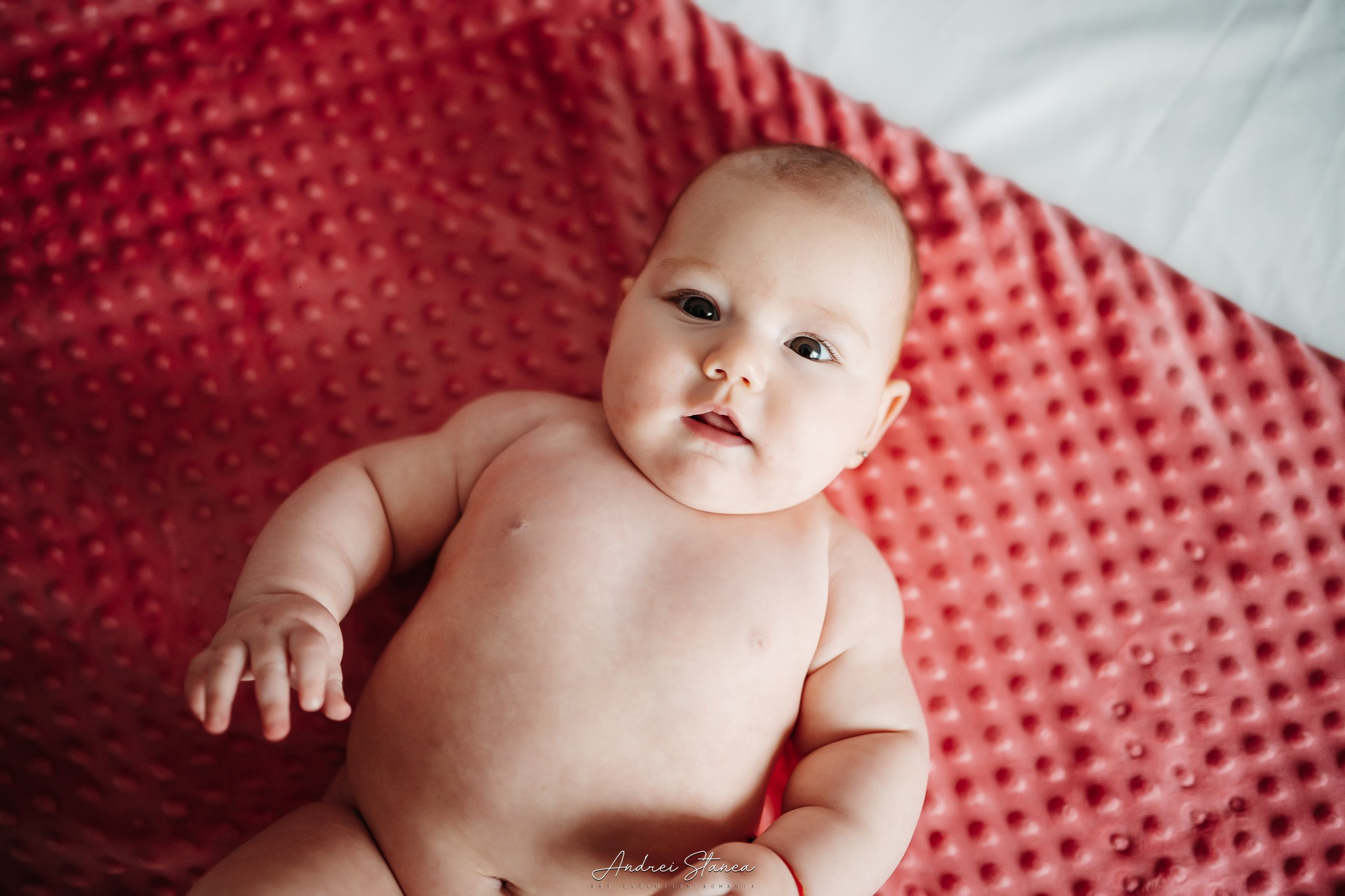 Zenayda. Andrei Stanea