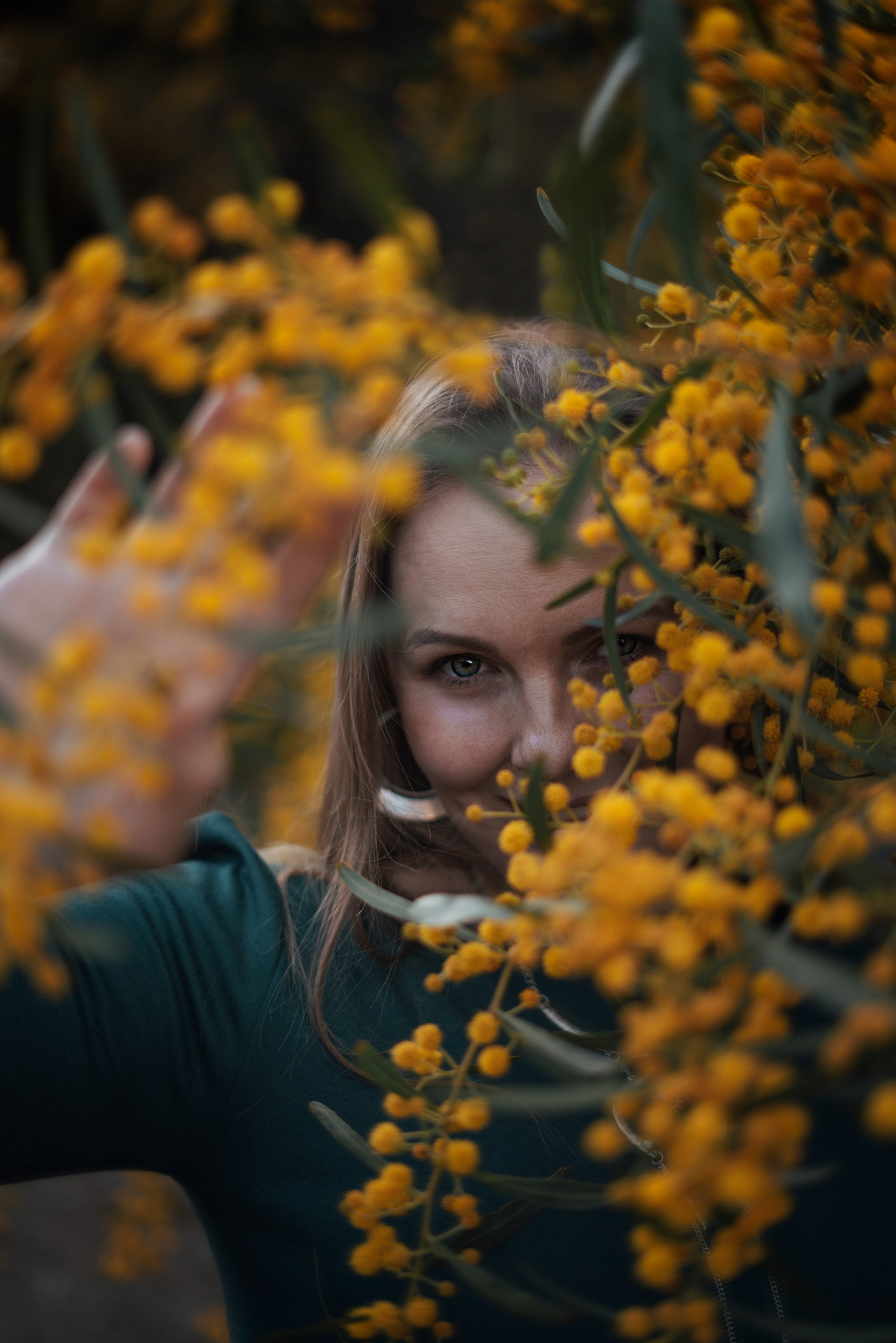 Мимоза. Анастасия Благова — Твой фотограф в Малаге 🇪🇸