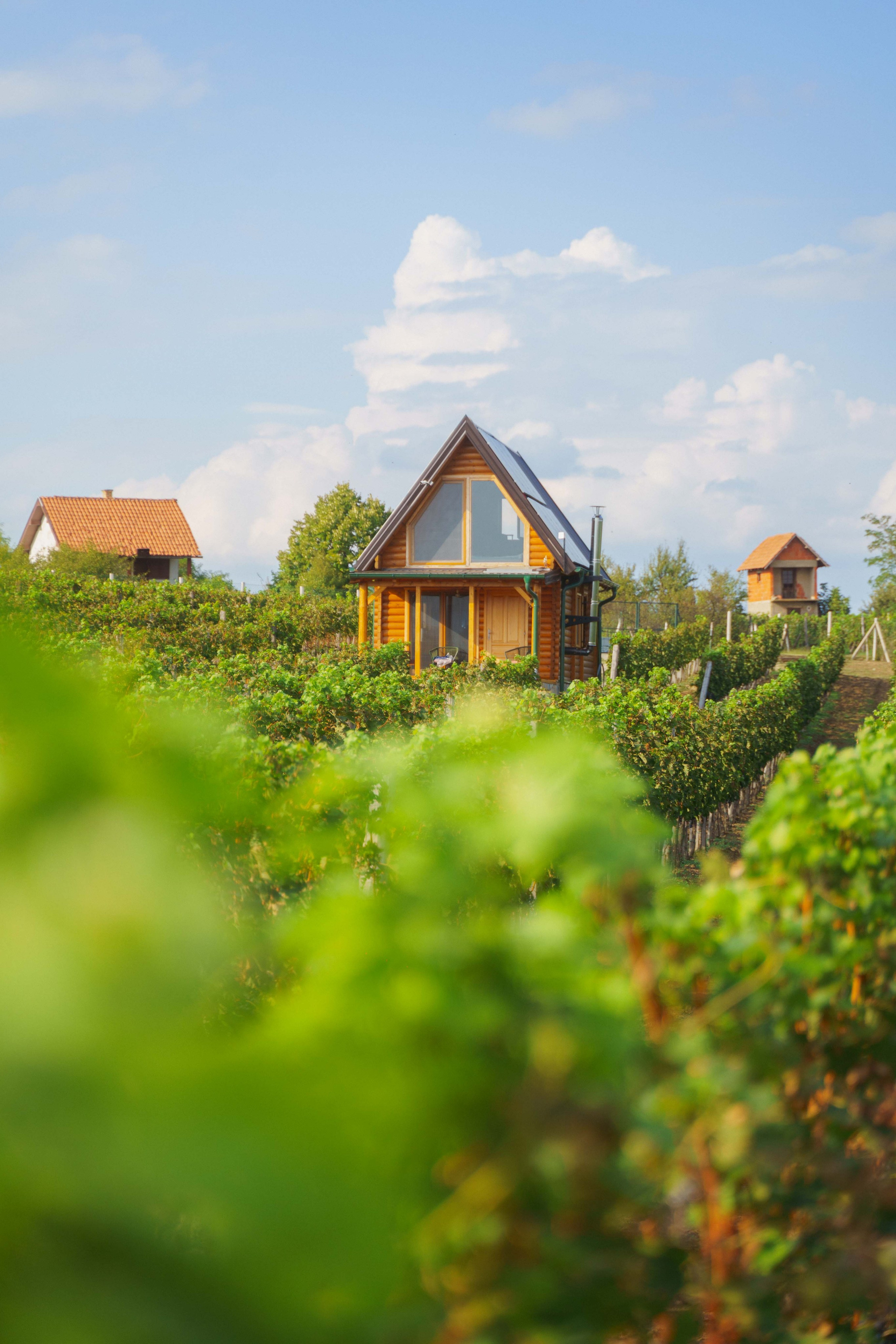 Jeep Commerce Event. Zhukov studio