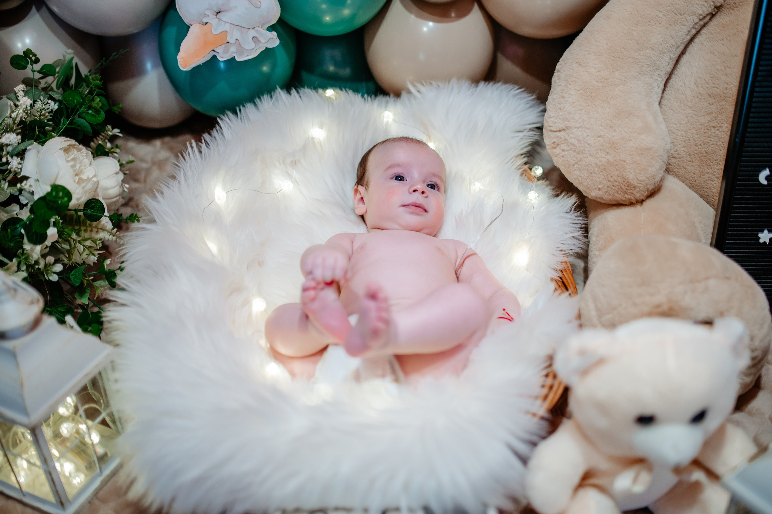 Botez Eduard. Ionut Birceanu