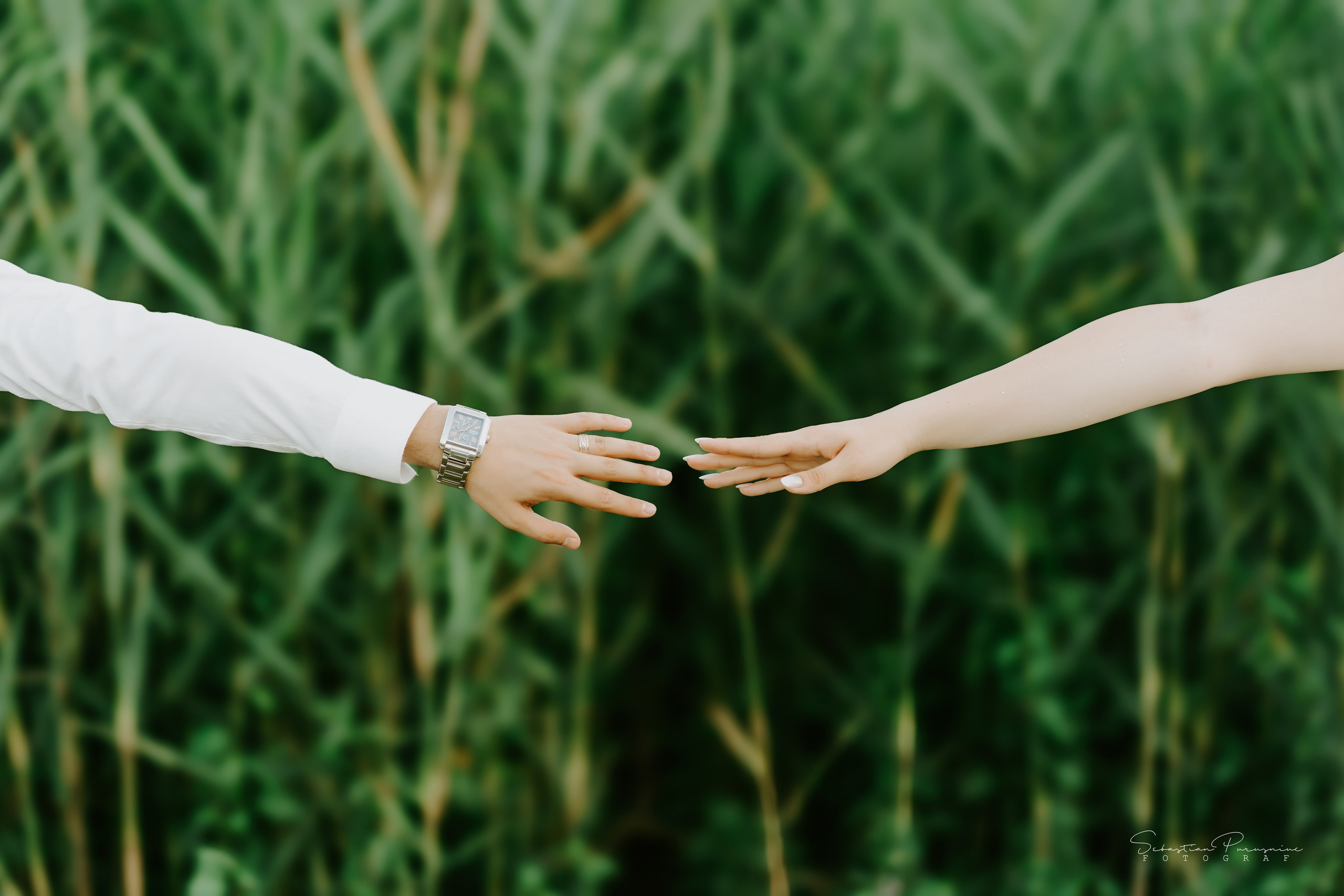 Simona & Sebastian. Sebastian Purusniuc Fotograf - Iasi