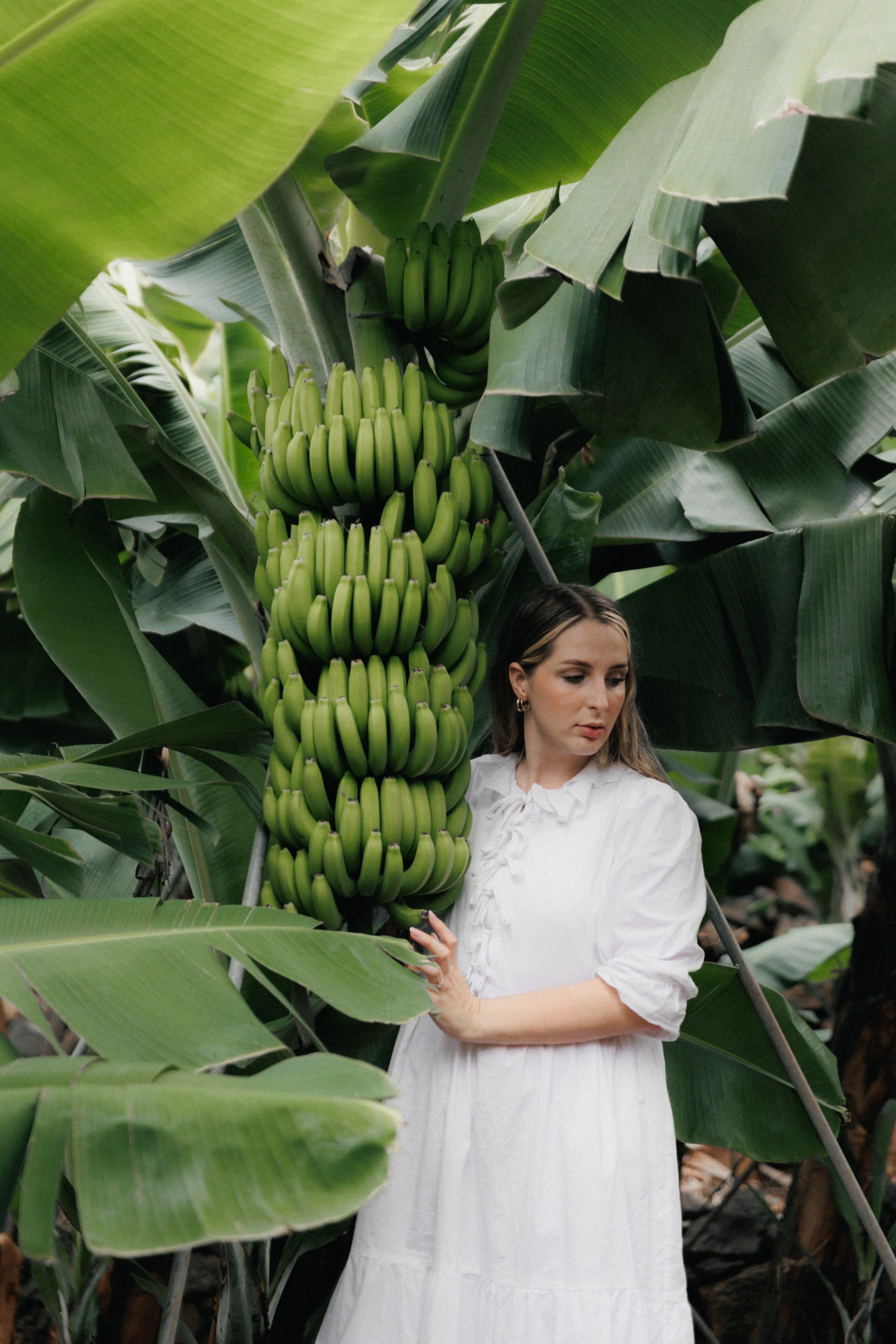 Lost in Madeira. Patricia Morenci — Mountain Adventures for the Wild at Heart