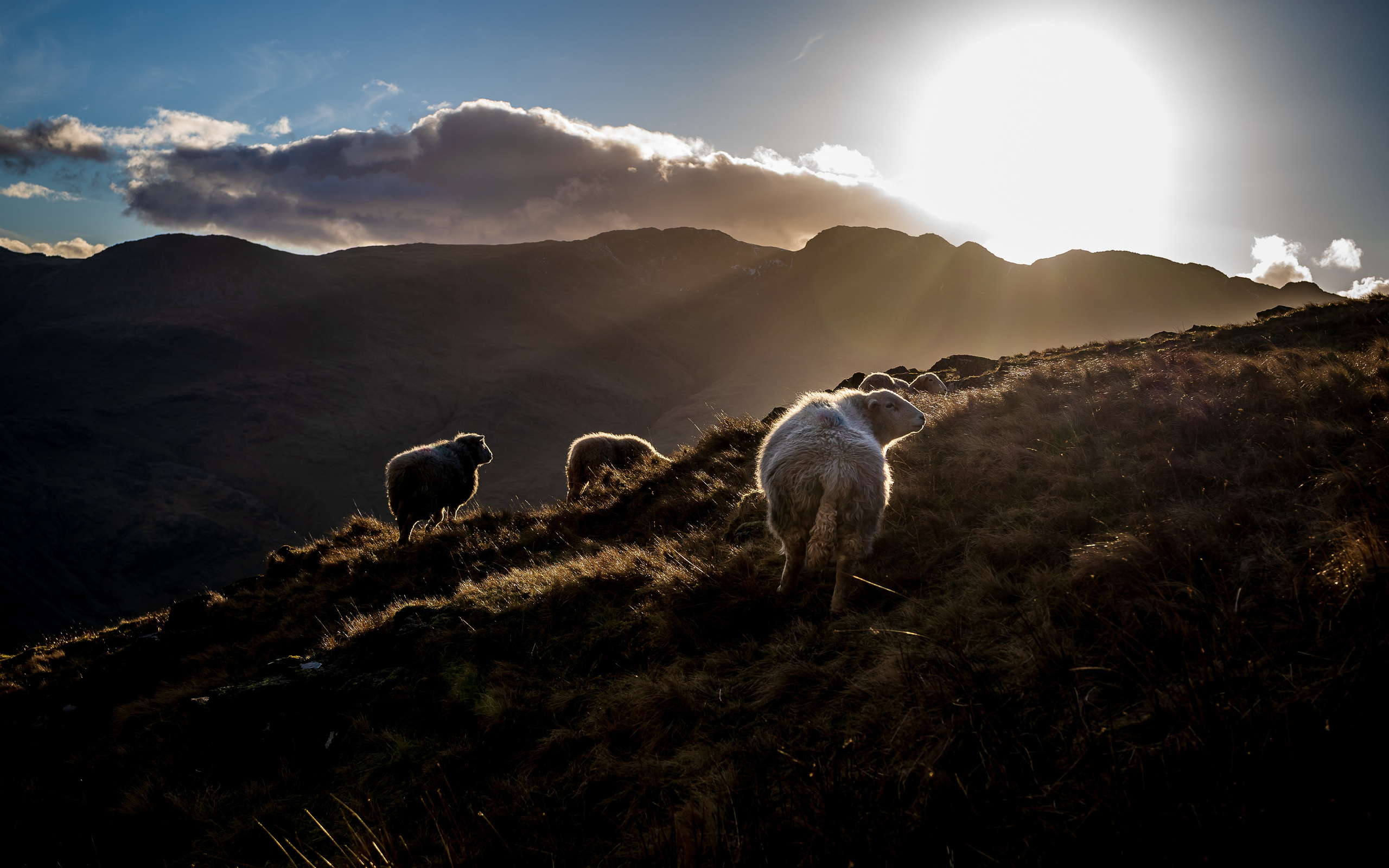 Expect Miracles Photography by Kate & Andrew