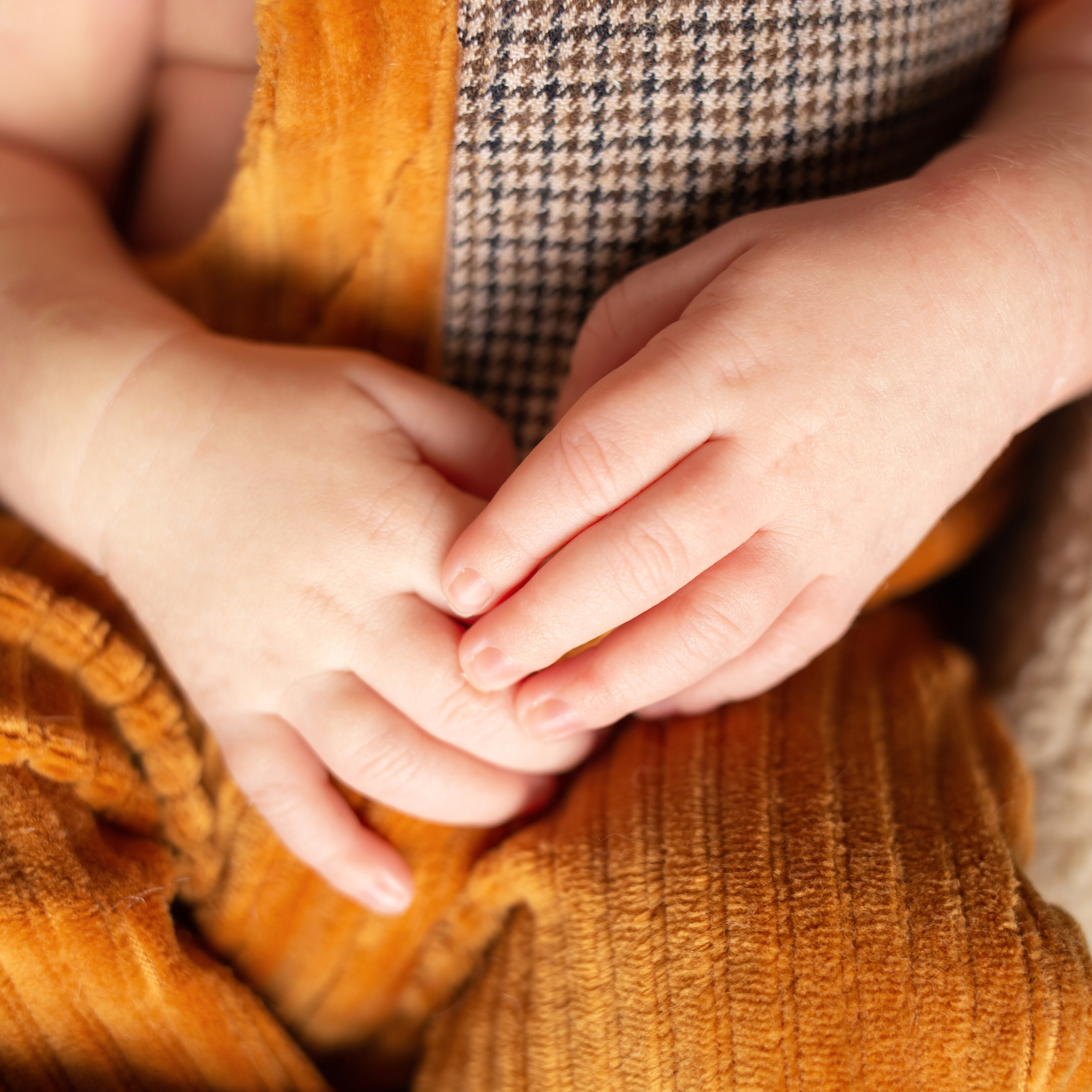 Clásico. Fotógrafa profesional en España