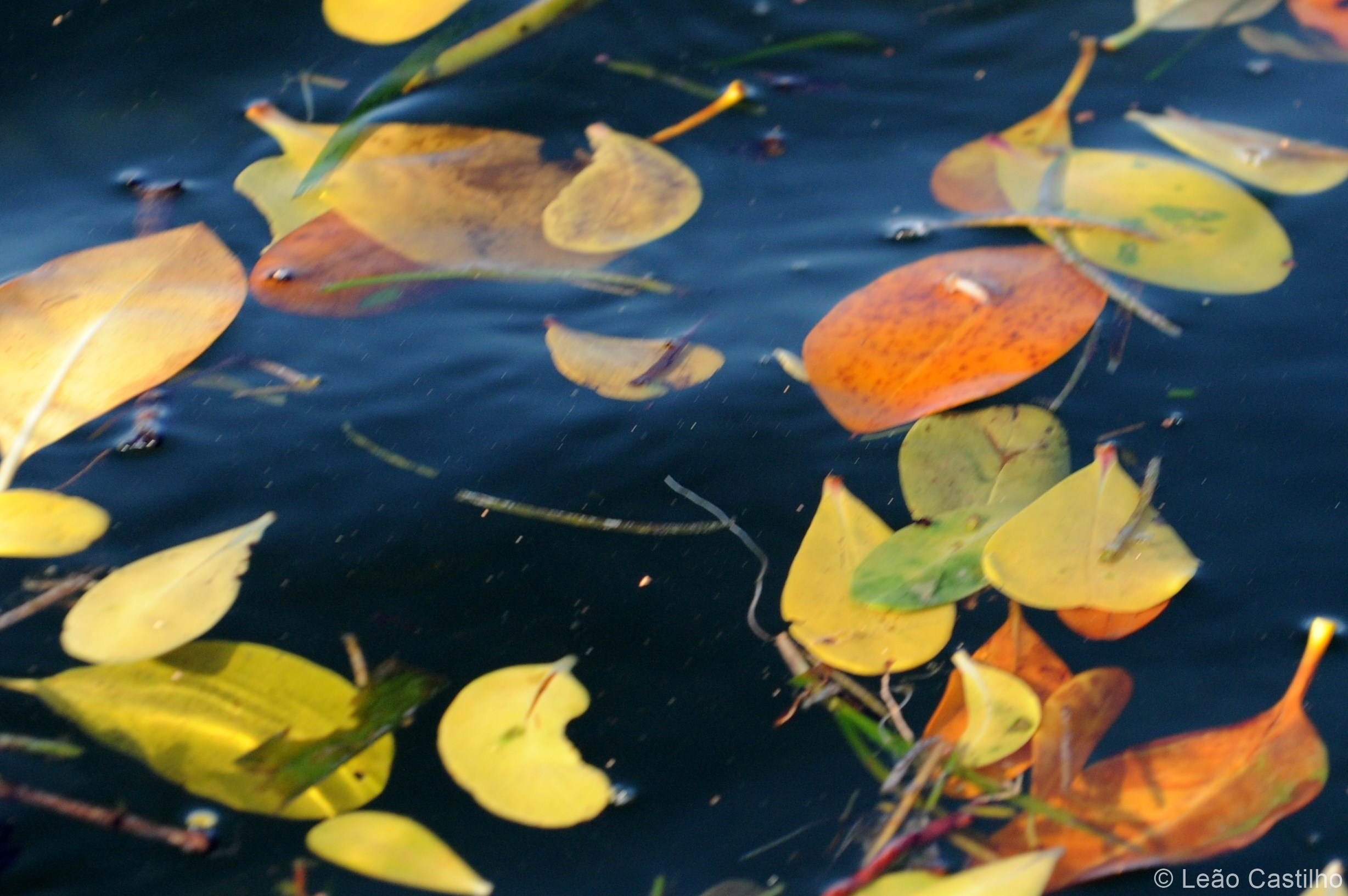 Photos from Mozambique. Simbahalu