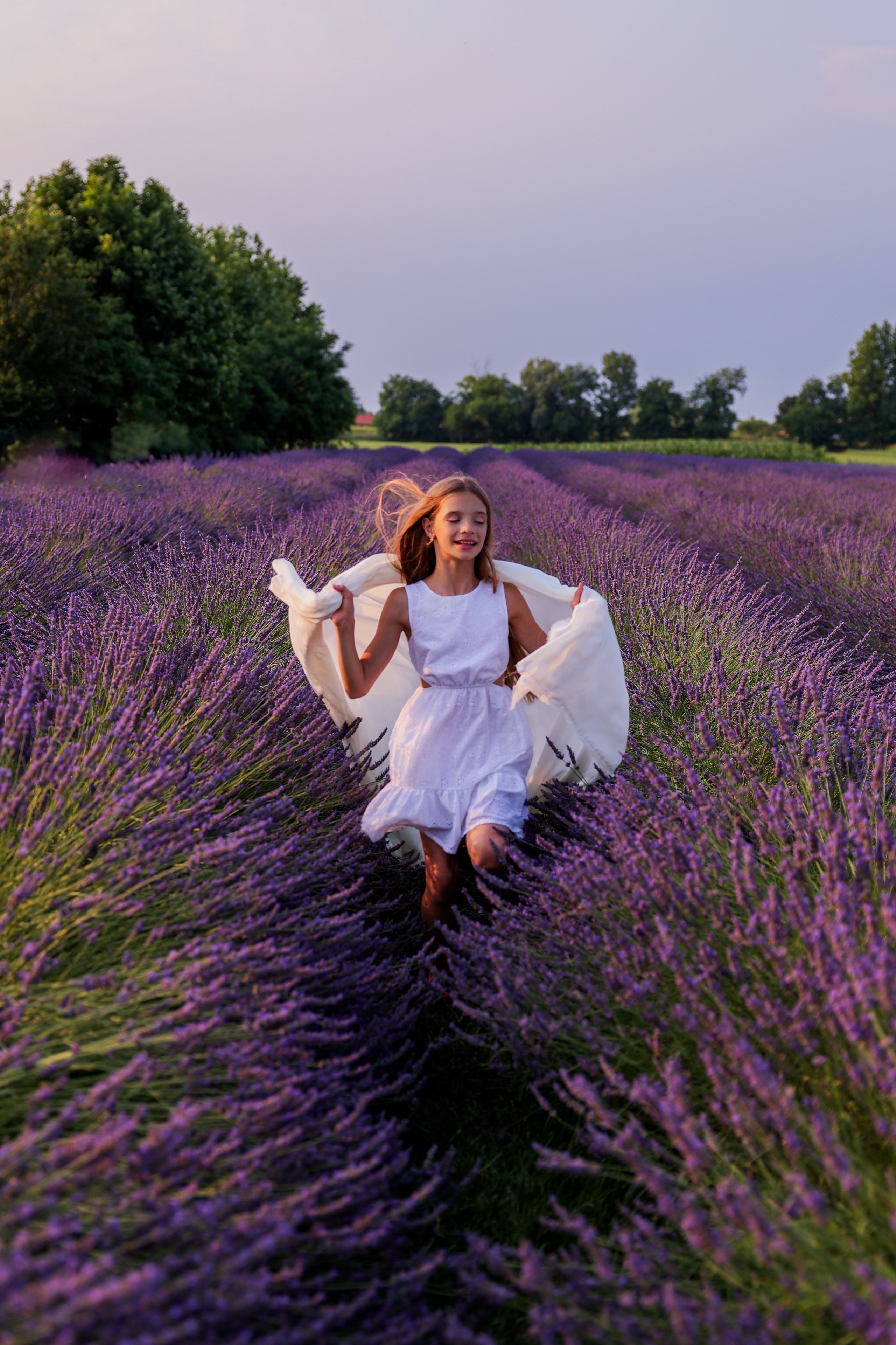 Lavanda. Photographer, Videomaker, Drone, Padova, Venice, Italy, Elena Radchenko